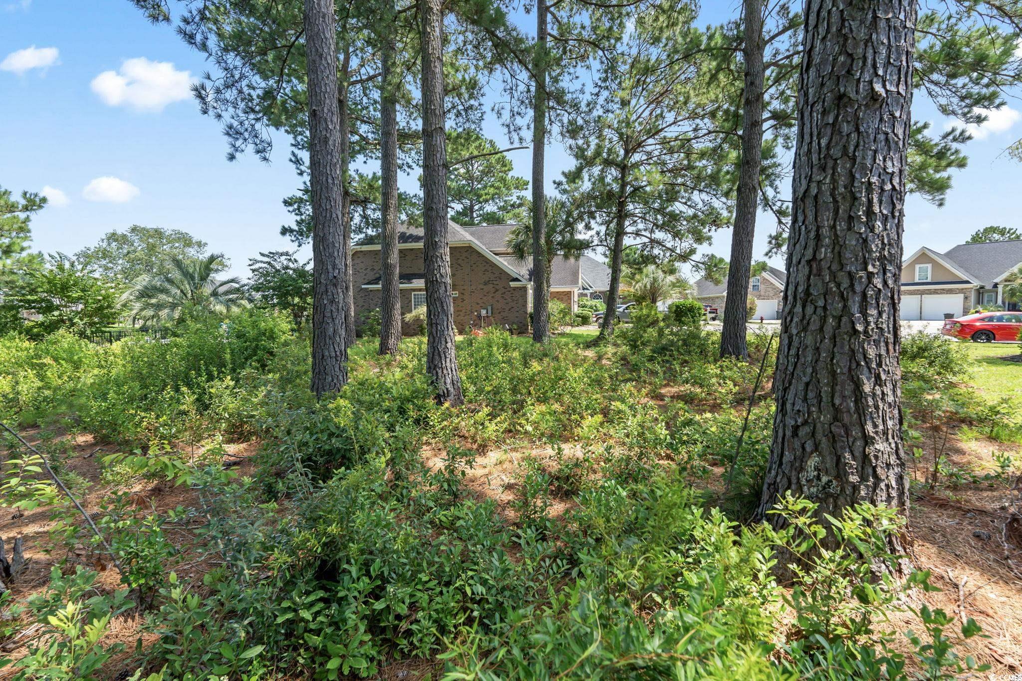 511 Quincy Hall Dr. Property Photo 15