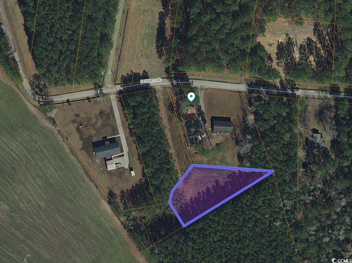 Tbd Lot 4-c Dossies Rd. Property Photo 2