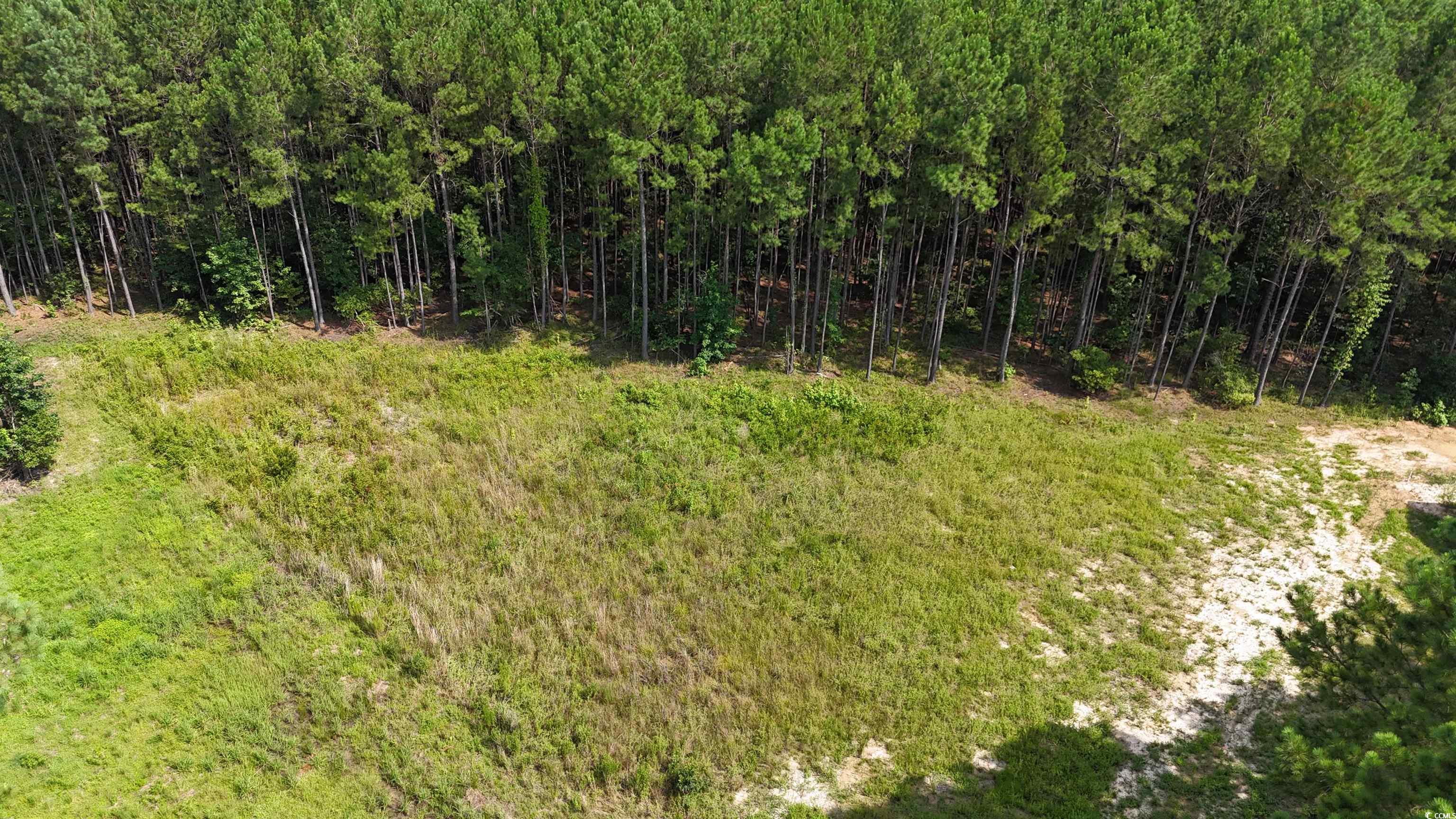 Tbd Lot 4-c Dossies Rd. Property Photo 4
