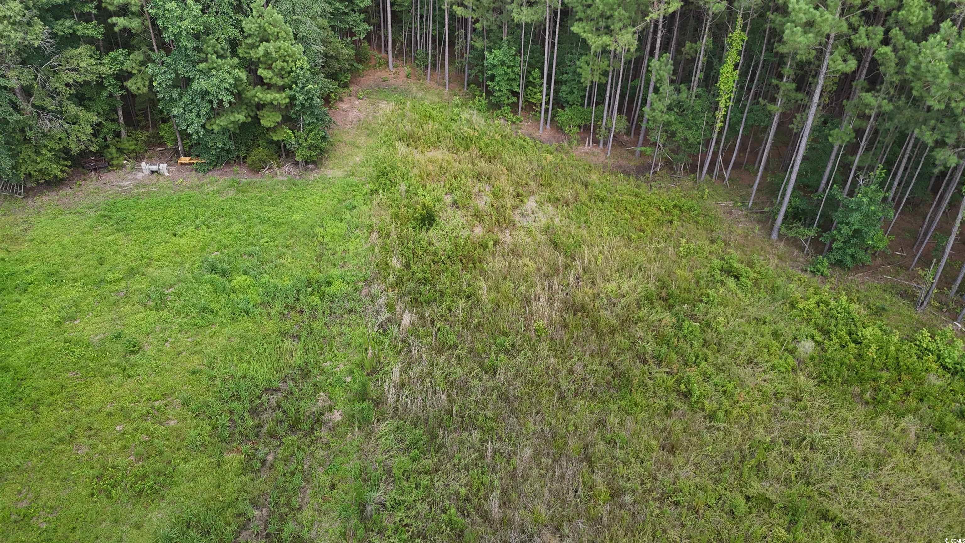 Tbd Lot 4-c Dossies Rd. Property Photo 6