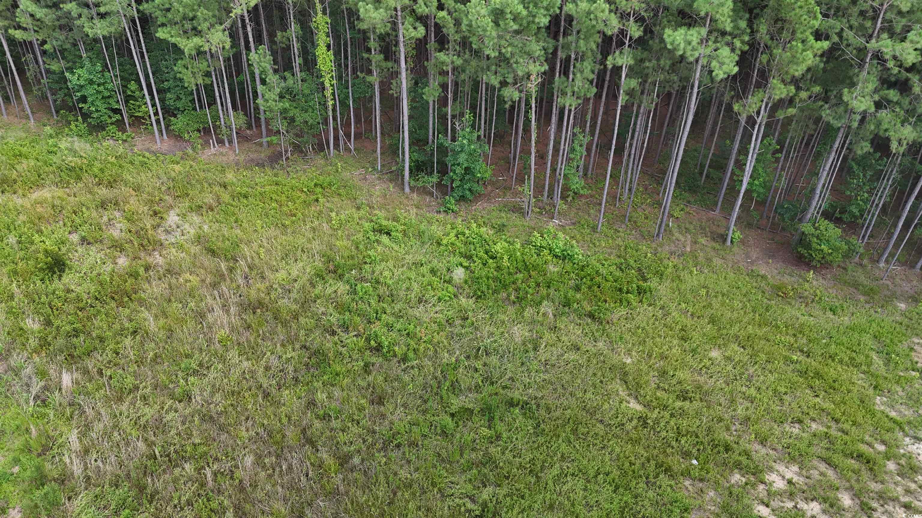 Tbd Lot 4-c Dossies Rd. Property Photo 7