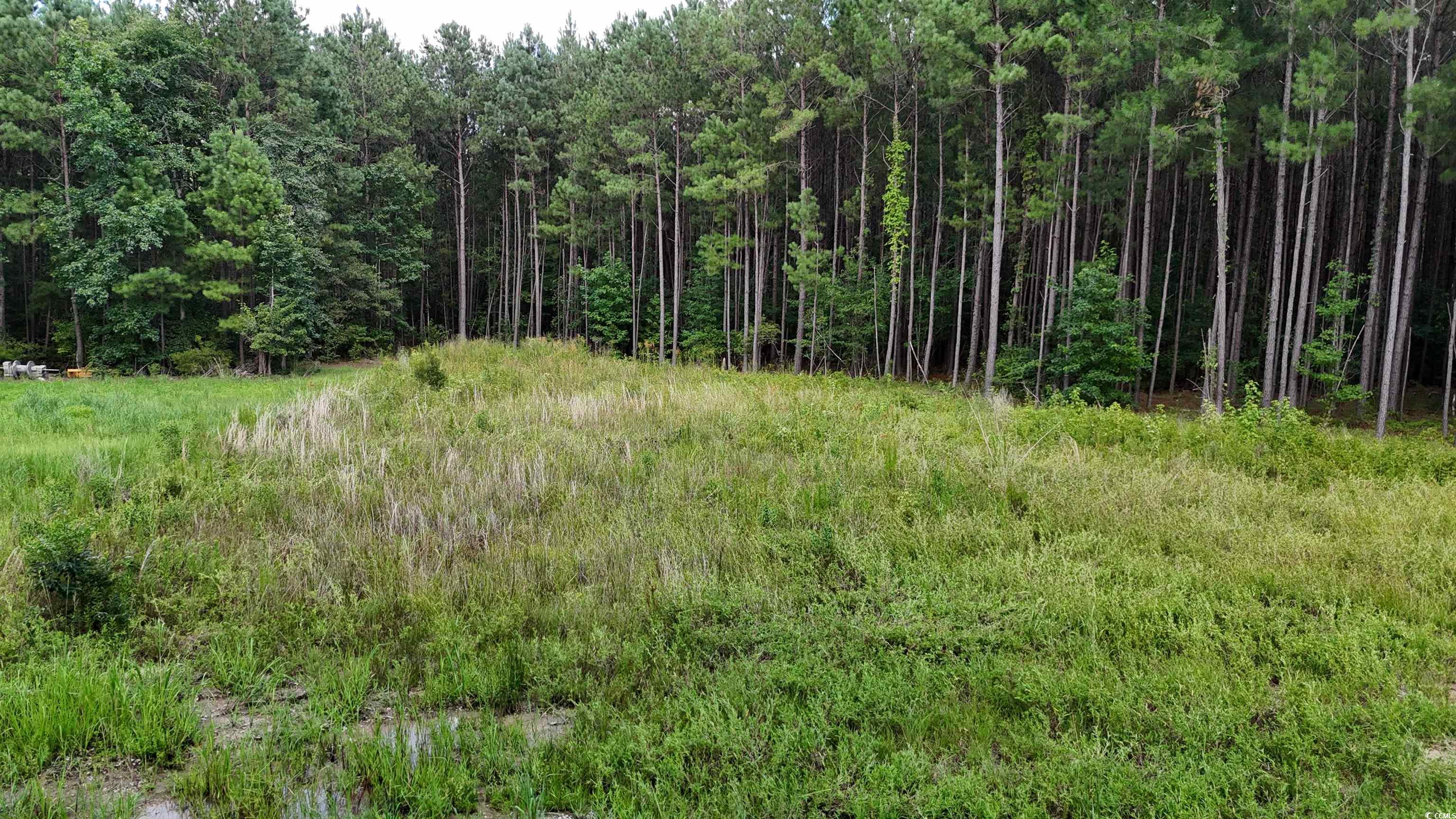 Tbd Lot 4-c Dossies Rd. Property Photo 10