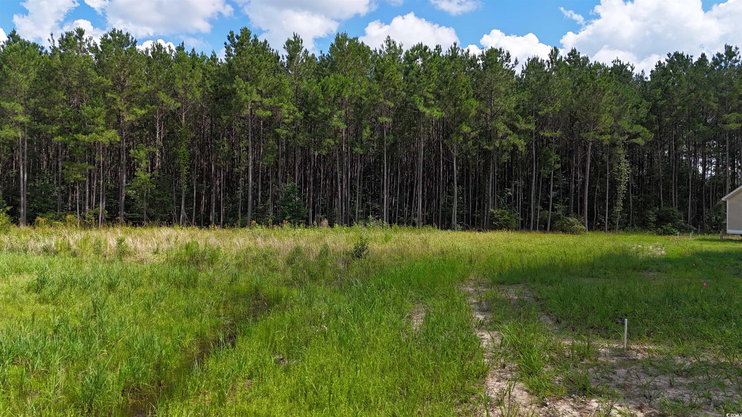 Tbd Lot 4-c Dossies Rd. Property Photo 13