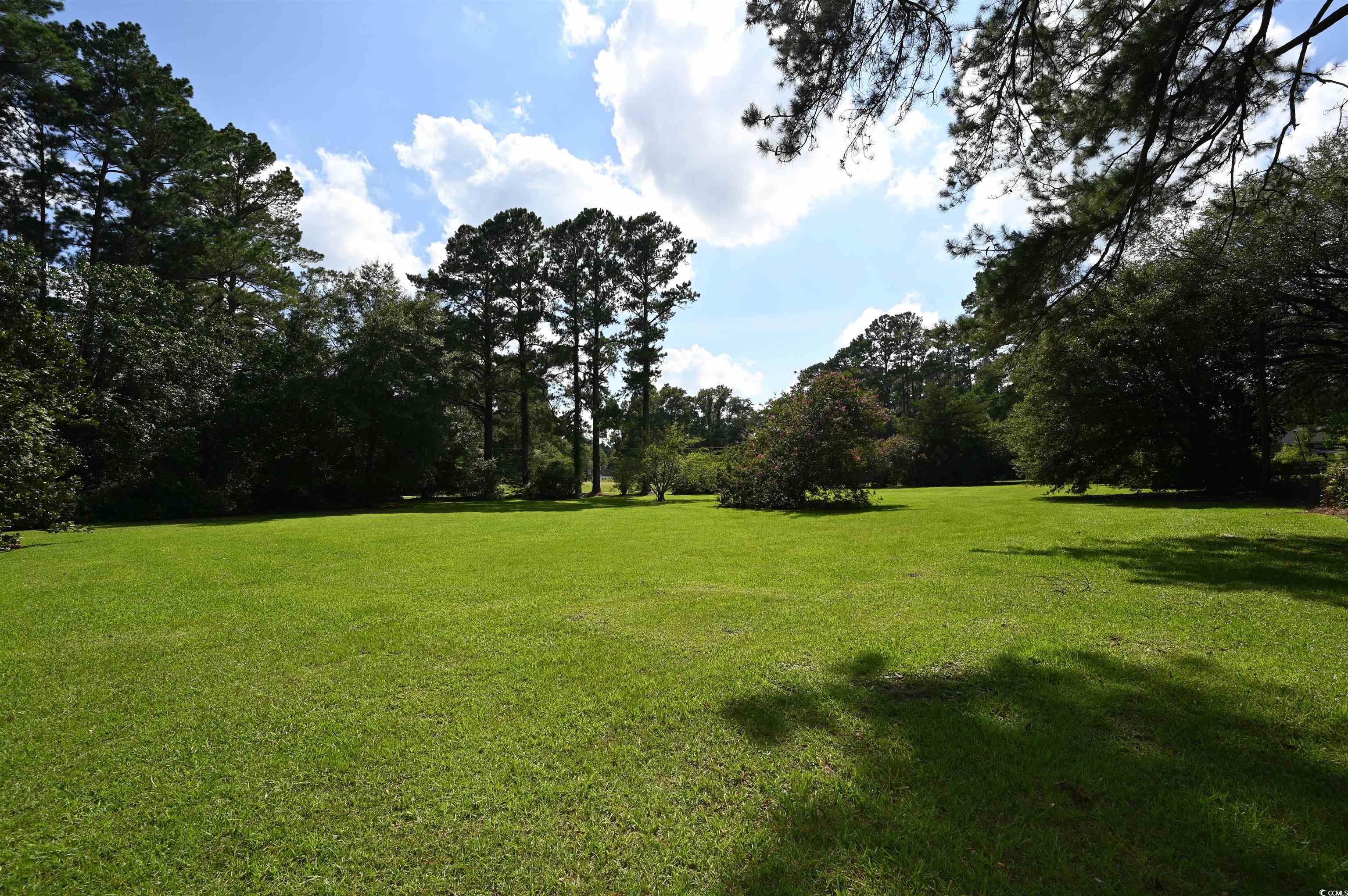 221 Pine St. Property Photo 38