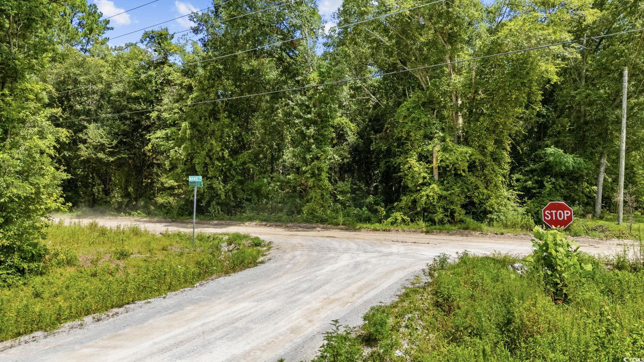 Tbd Plainfield Rd. Property Photo 13