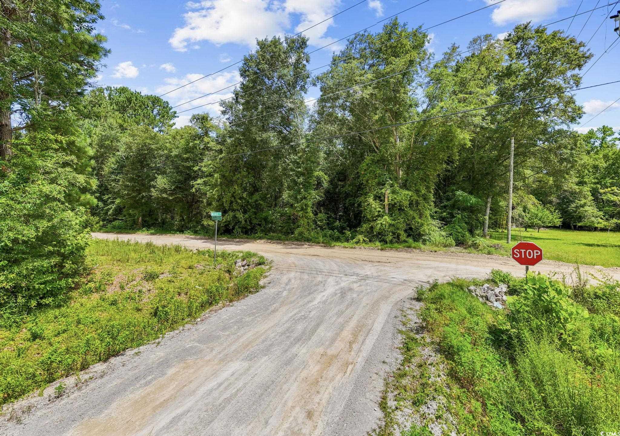 Tbd Plainfield Rd. Property Photo 14