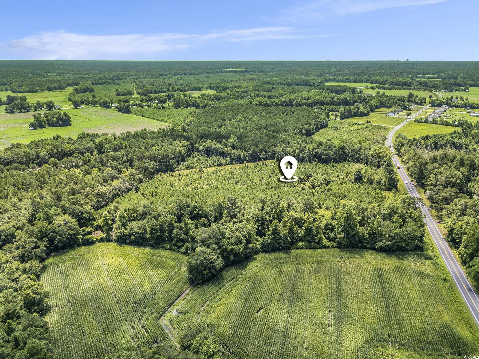 Tbd Red Bluff Rd. Property Photo 2