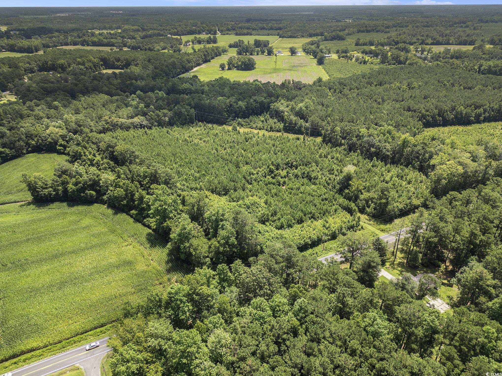 Tbd Red Bluff Rd. Property Photo 3