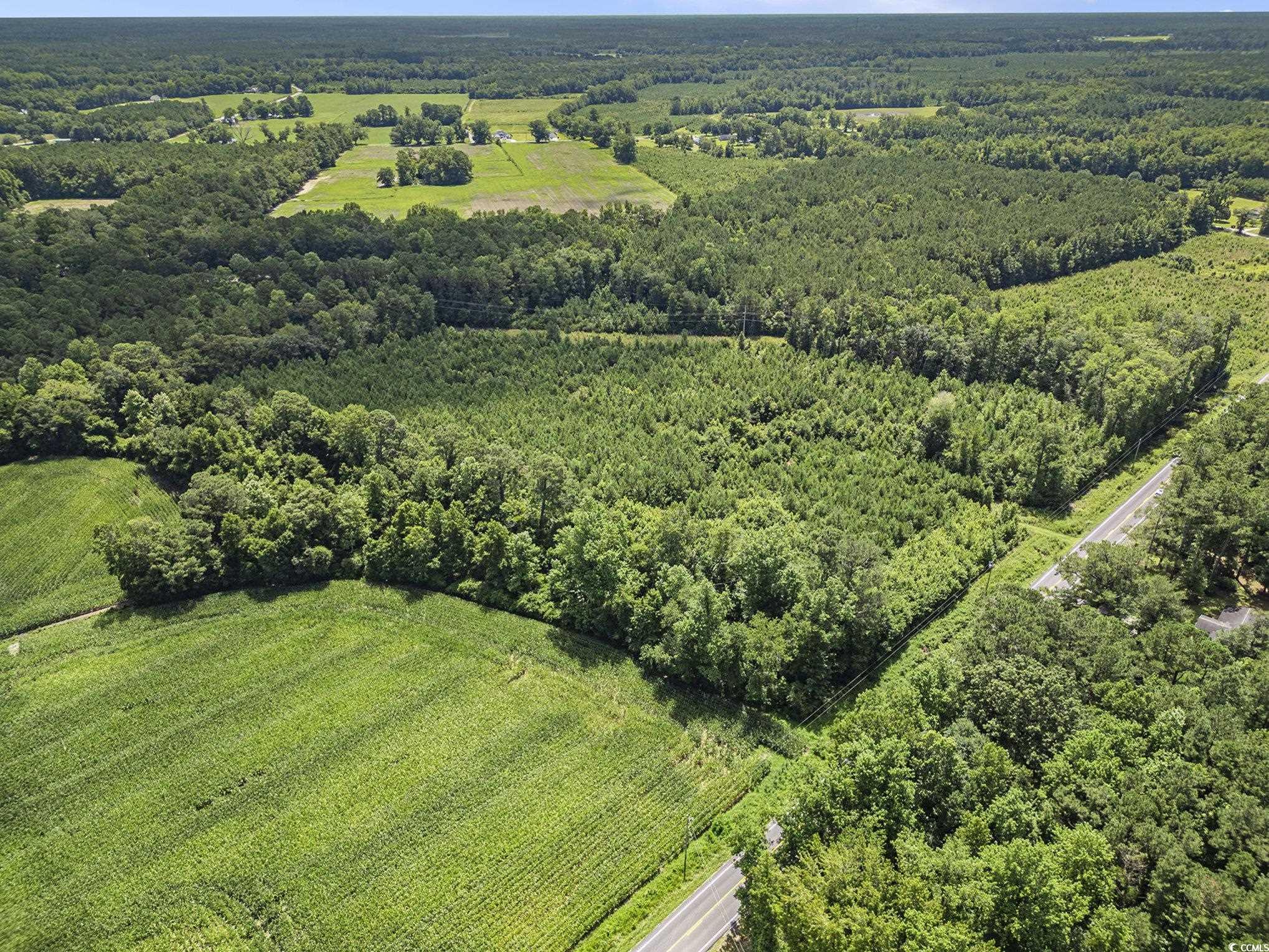 Tbd Red Bluff Rd. Property Photo 4
