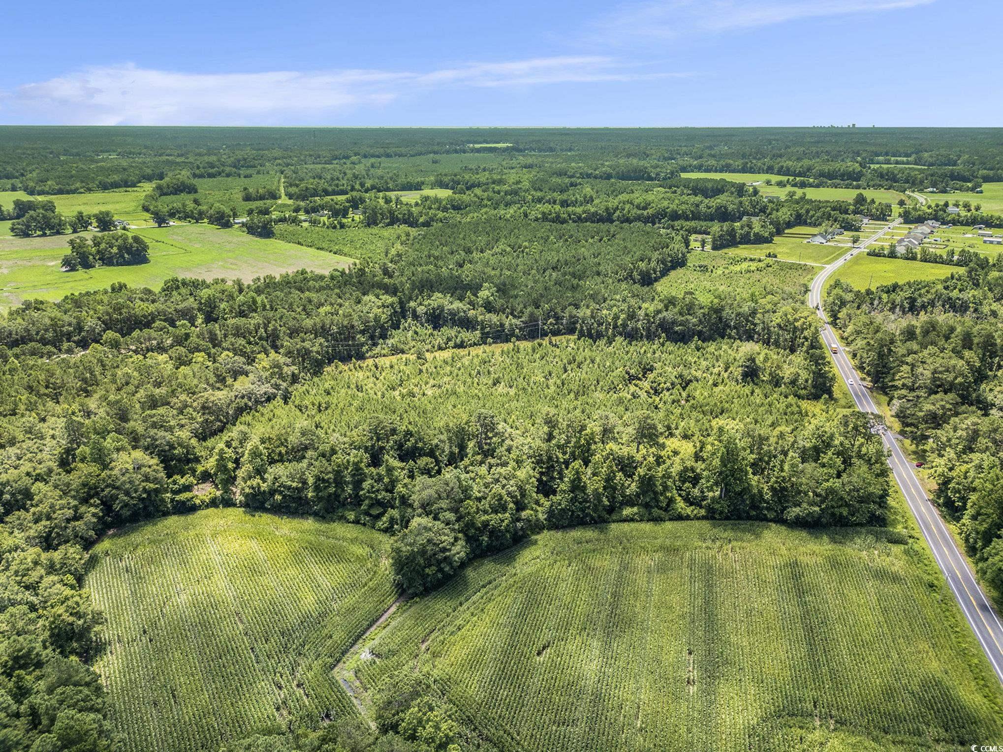 Tbd Red Bluff Rd. Property Photo 5