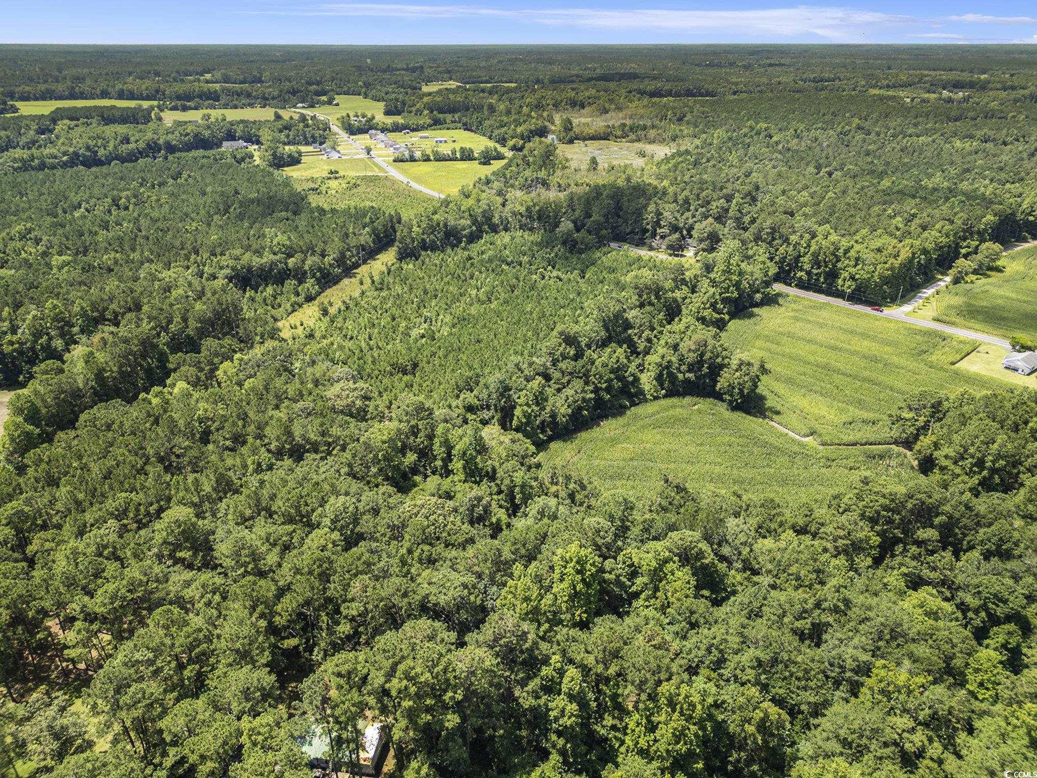 Tbd Red Bluff Rd. Property Photo 6