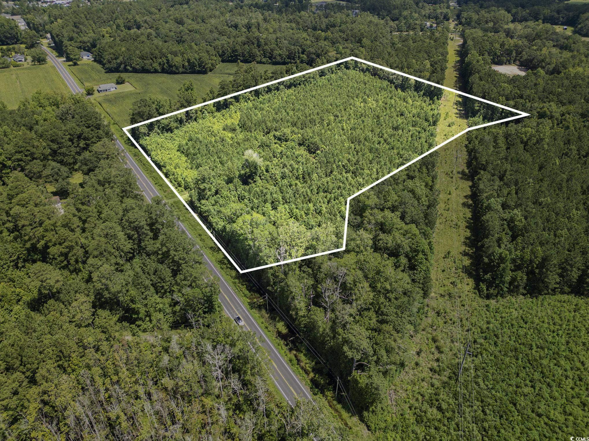 Tbd Red Bluff Rd. Property Photo 7