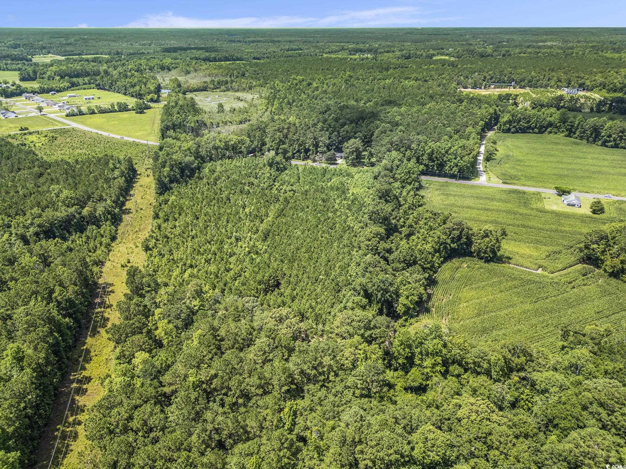 Tbd Red Bluff Rd. Property Photo 9