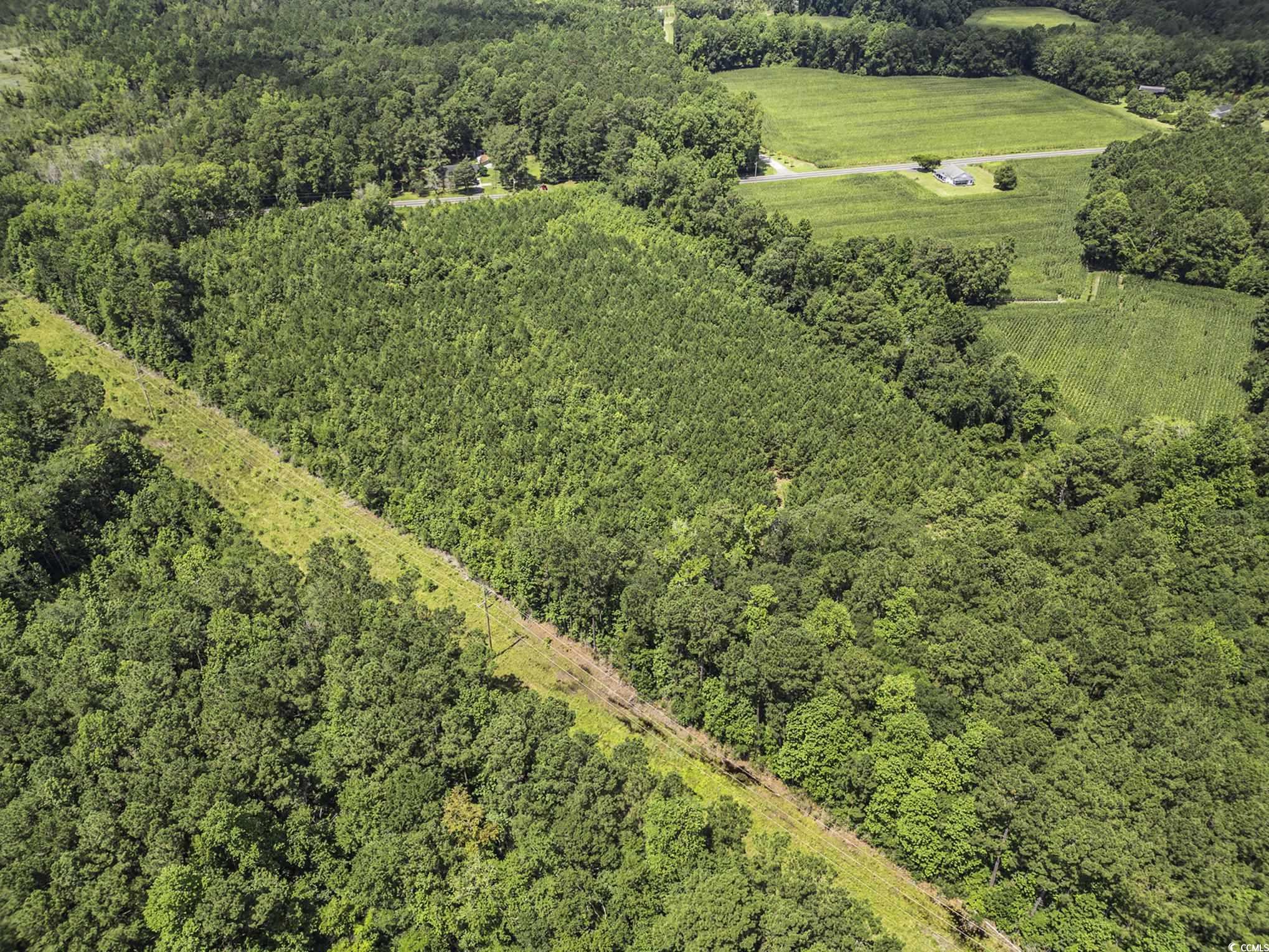 Tbd Red Bluff Rd. Property Photo 10