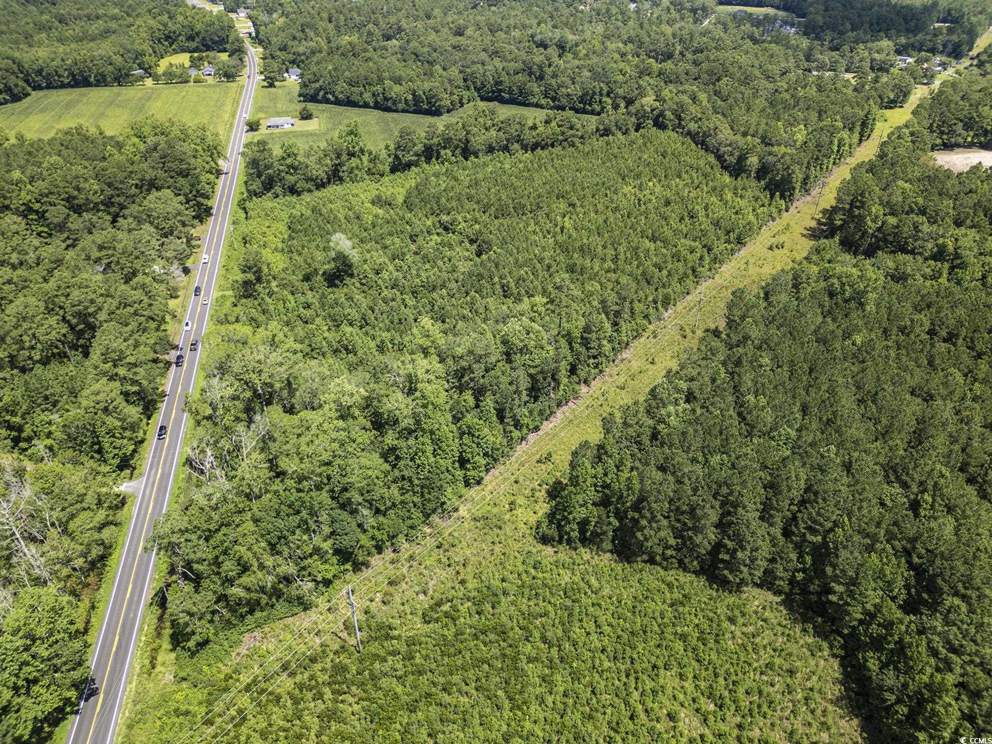 Tbd Red Bluff Rd. Property Photo 11