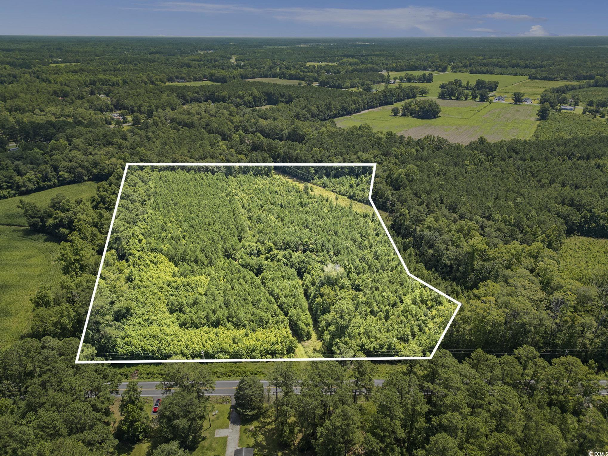 Tbd Red Bluff Rd. Property Photo 12