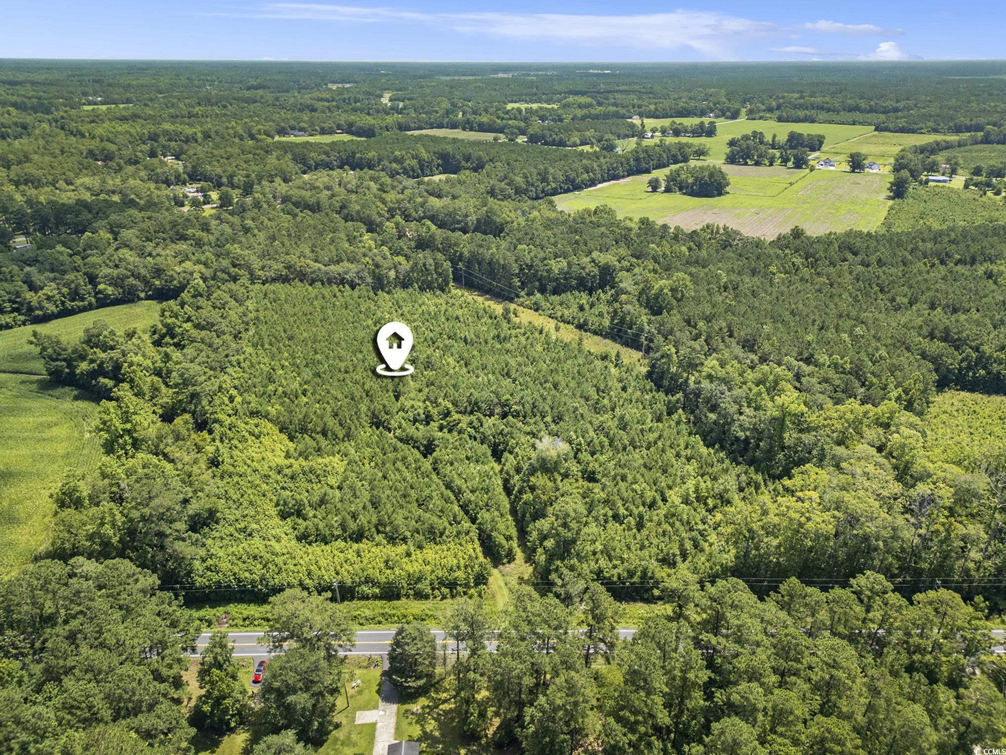 Tbd Red Bluff Rd. Property Photo 13