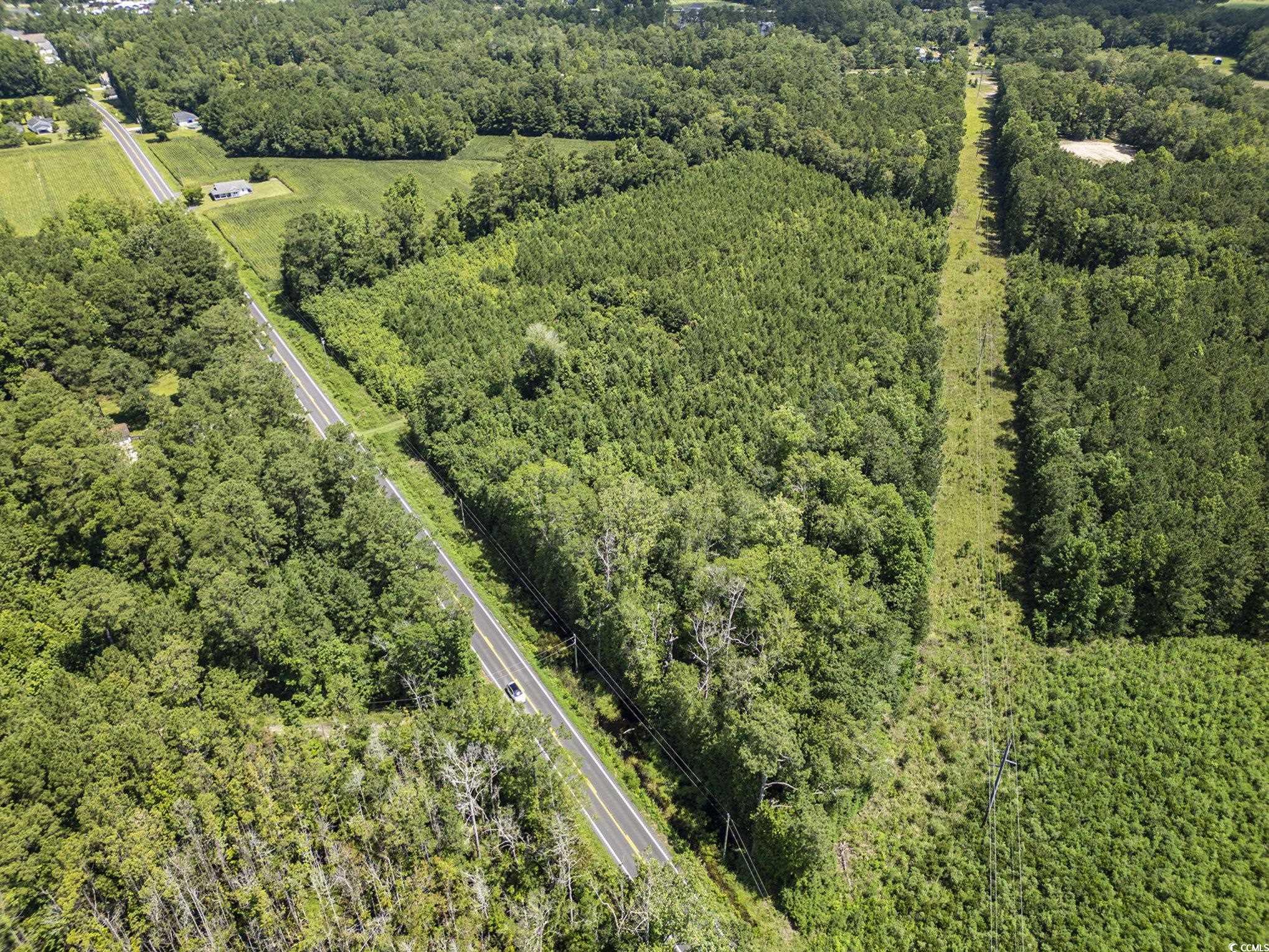 Tbd Red Bluff Rd. Property Photo 14