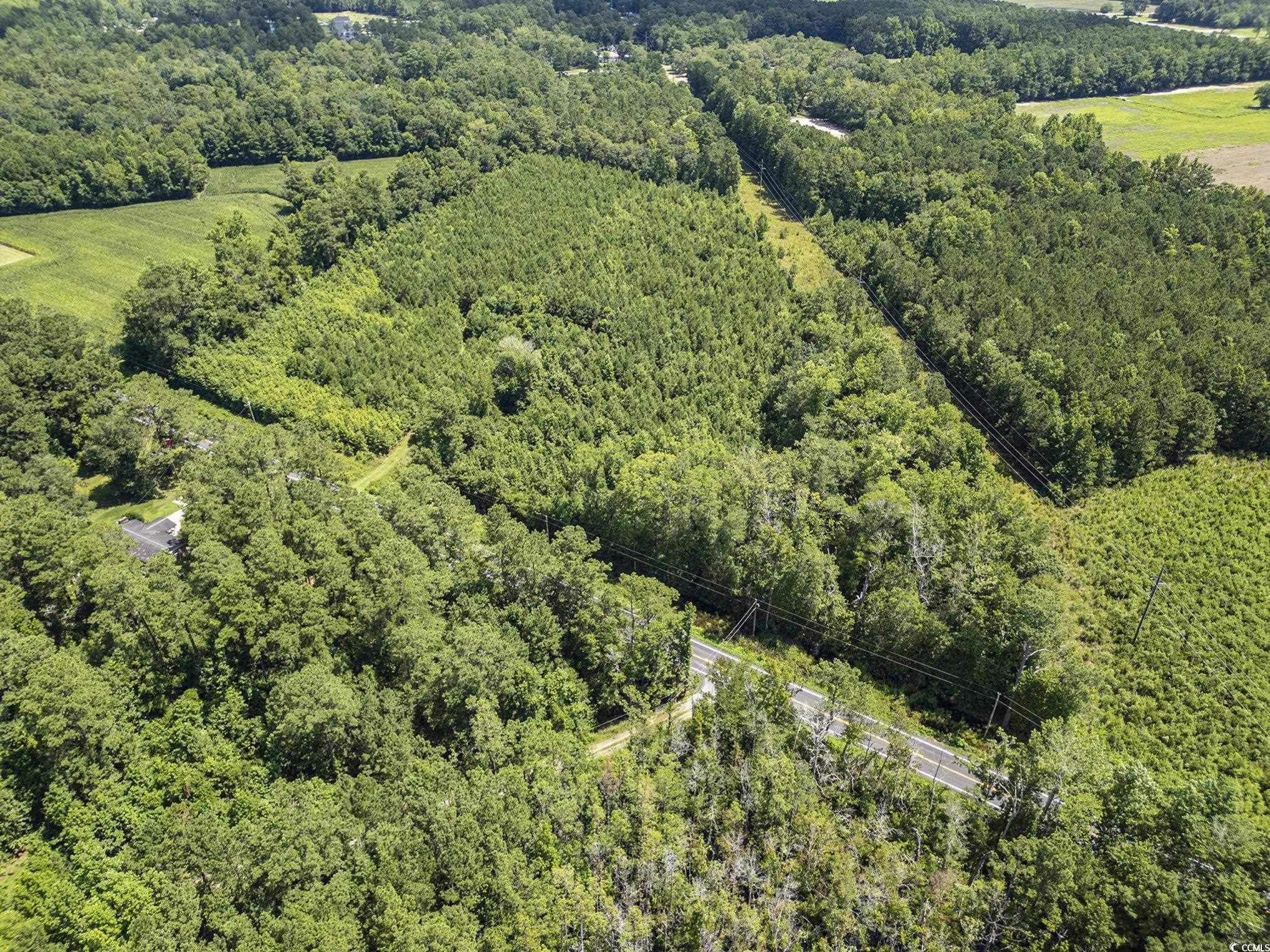 Tbd Red Bluff Rd. Property Photo 15