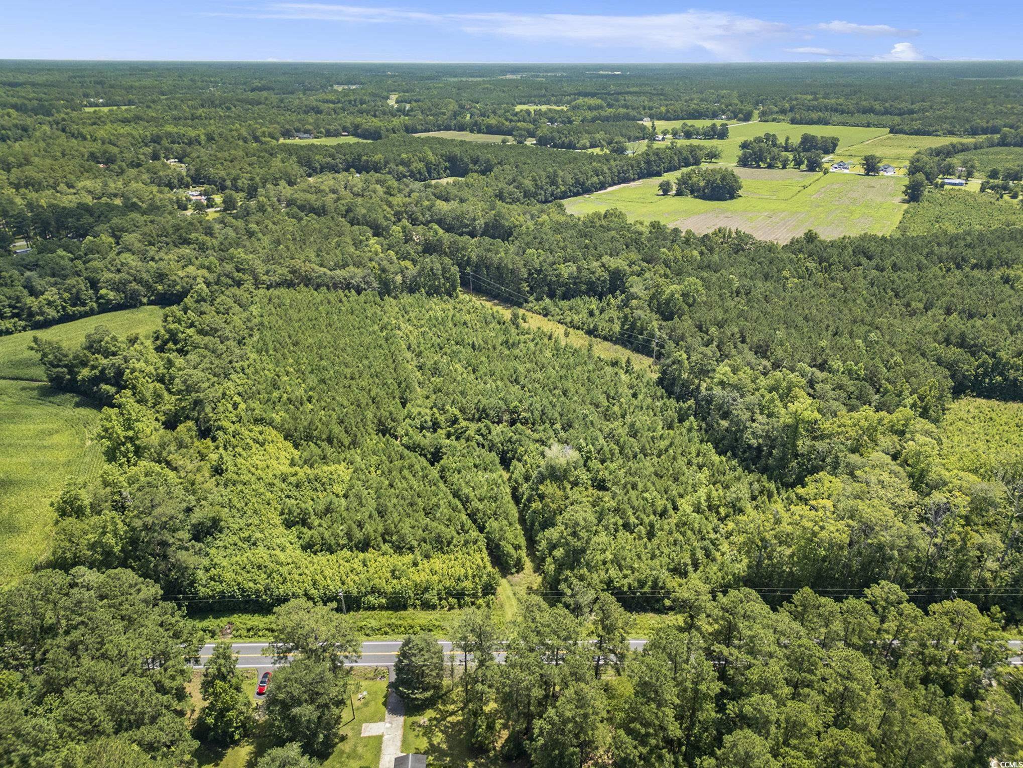 Tbd Red Bluff Rd. Property Photo 16