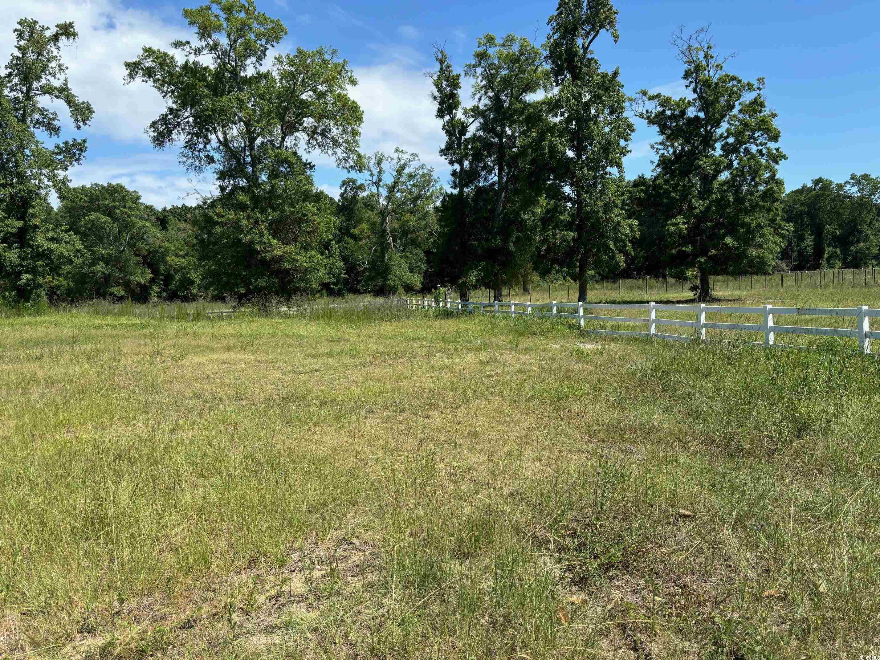 107 Triple Crown Ct. Property Photo 5