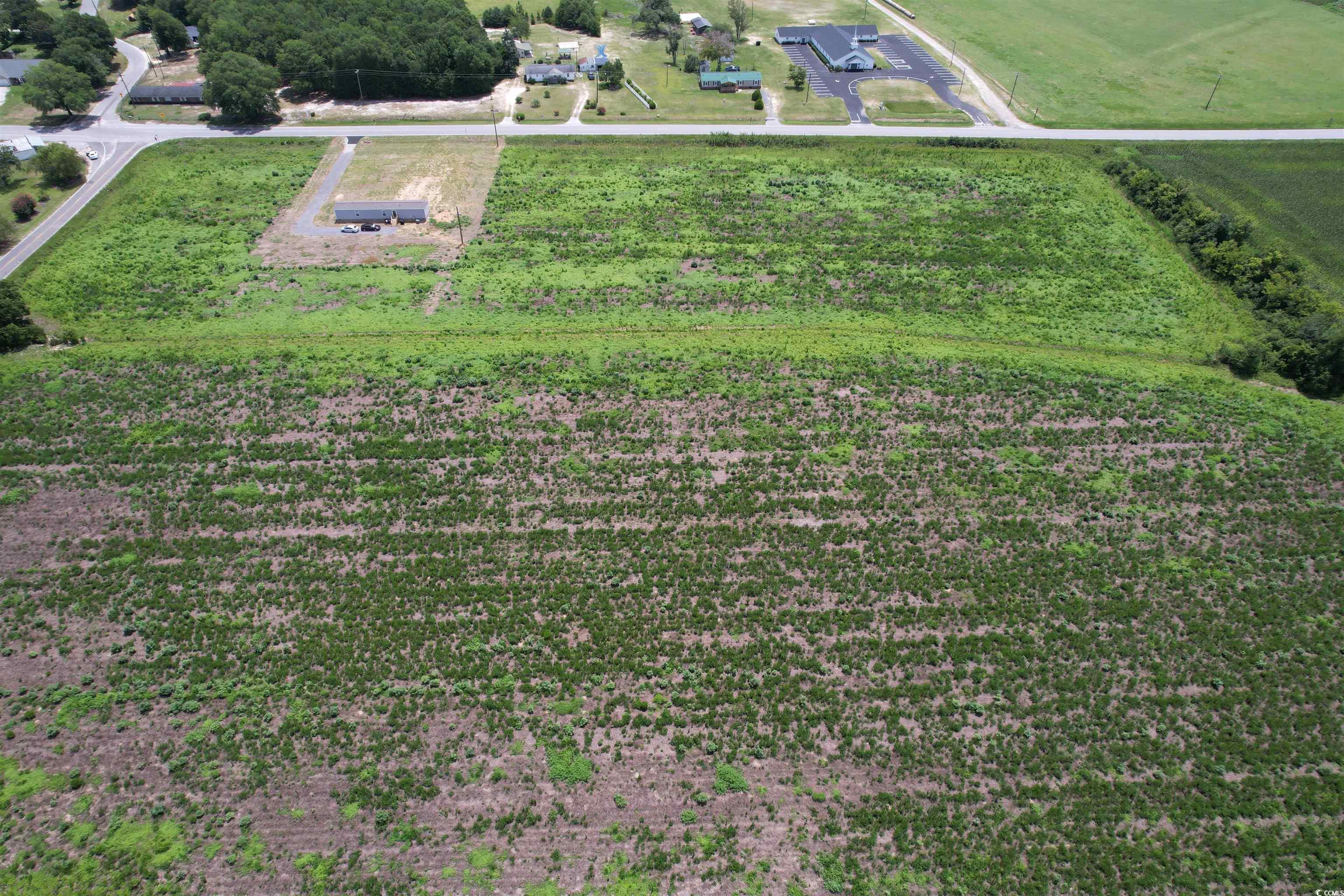 29.63 Acres - Society Hill Rd Property Photo 5