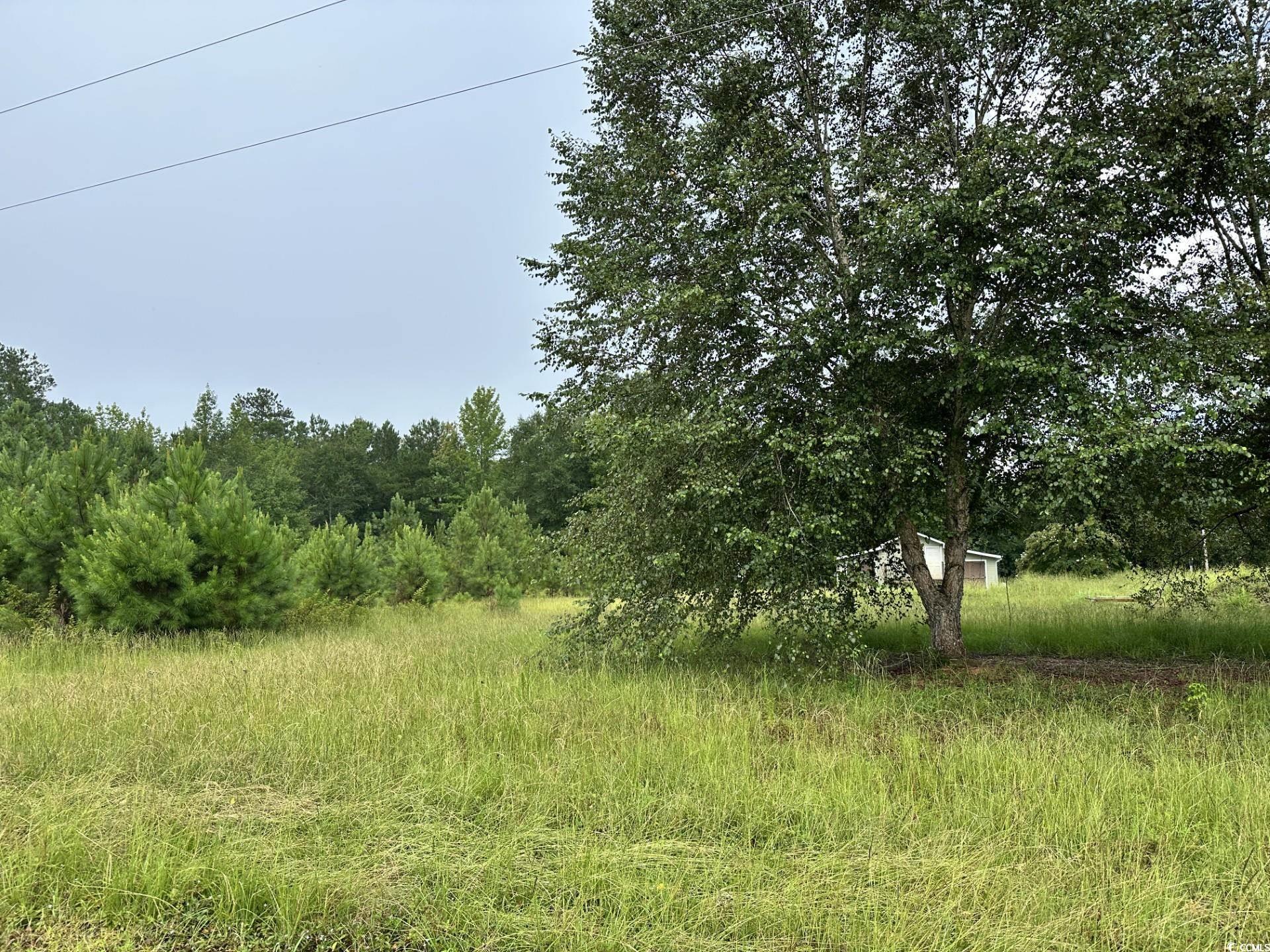 7023 New Bridge Rd. Property Photo 3