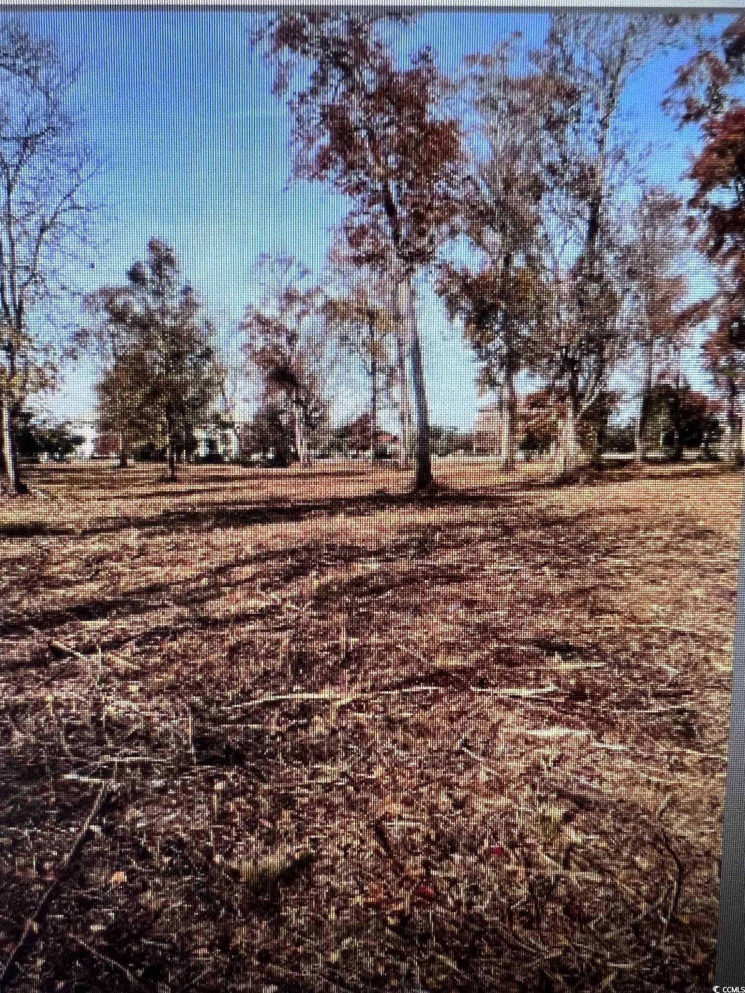 990 Robert M Grissom Pkwy. Property Photo 2