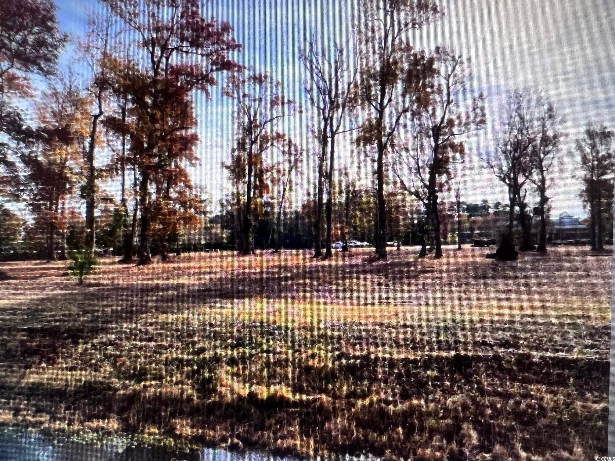 990 Robert M Grissom Pkwy. Property Photo 4