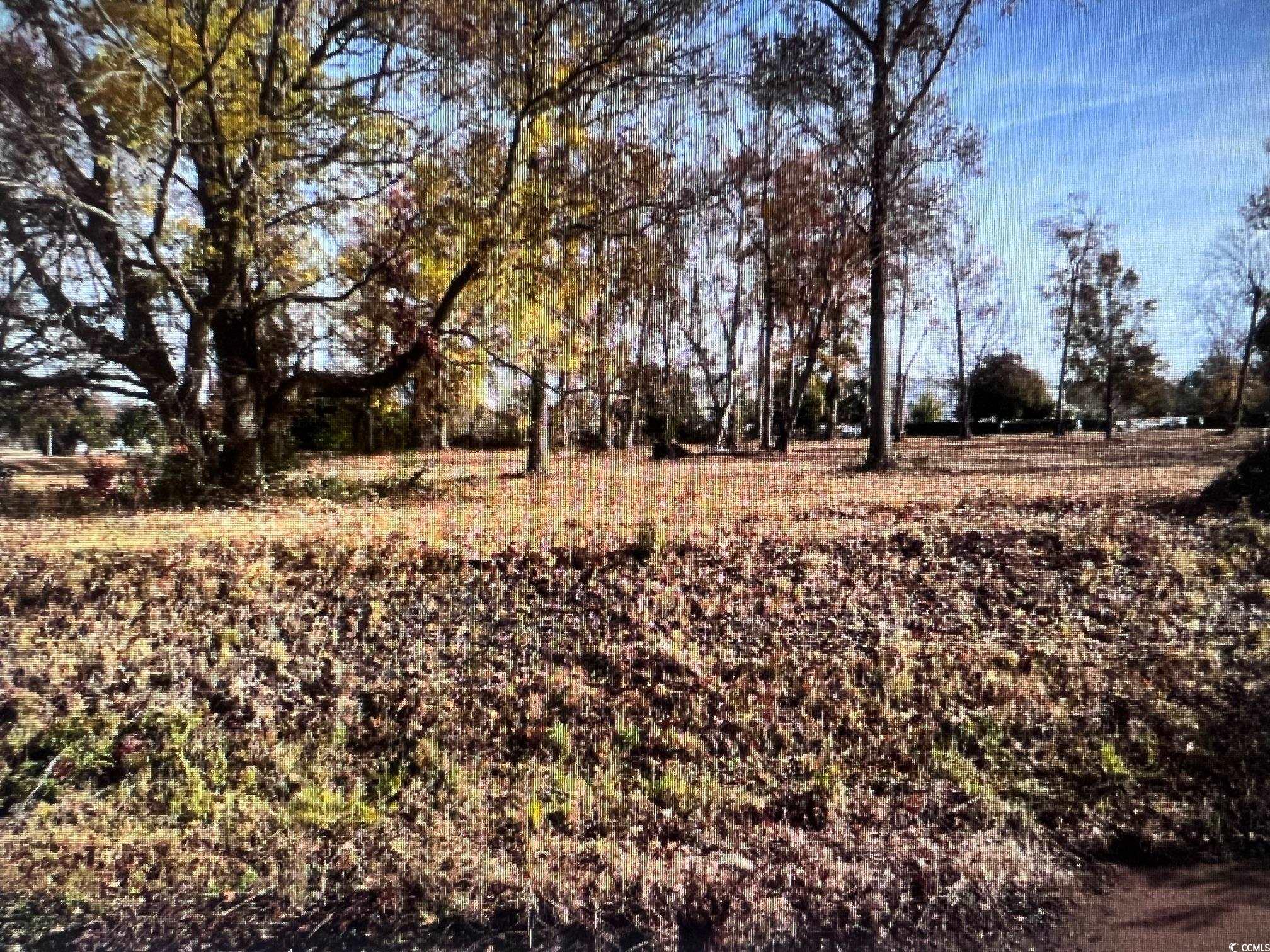 990 Robert M Grissom Pkwy. Property Photo 6
