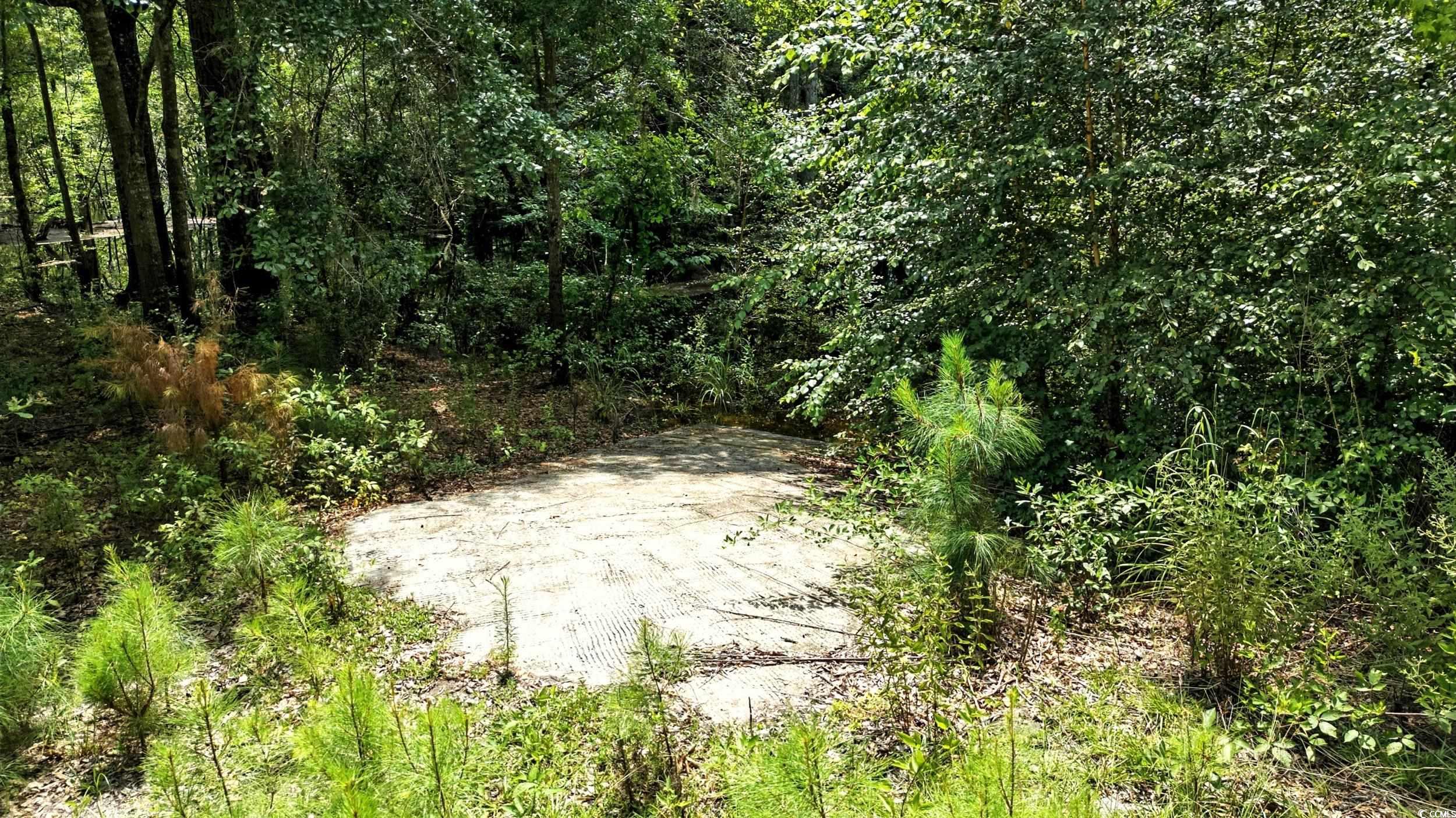 Tbd Vance Ln. Property Photo 3