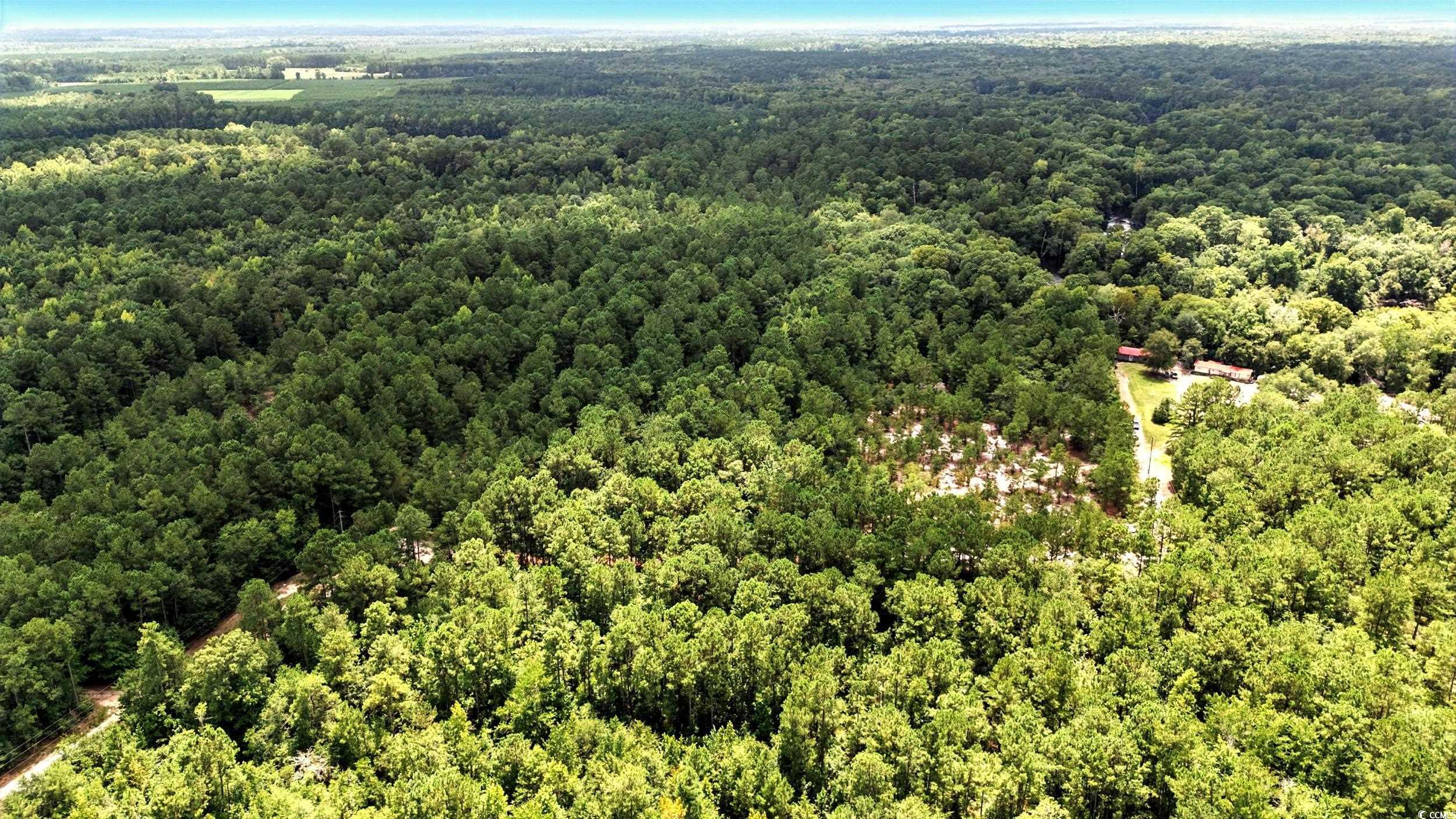 Tbd Vance Ln. Property Photo 6