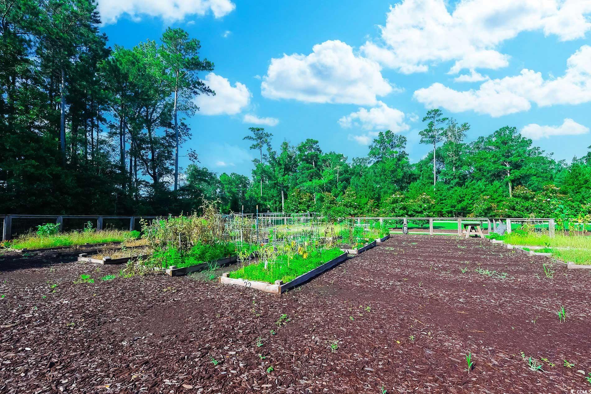 867 Harrison Mill St. Property Photo 36