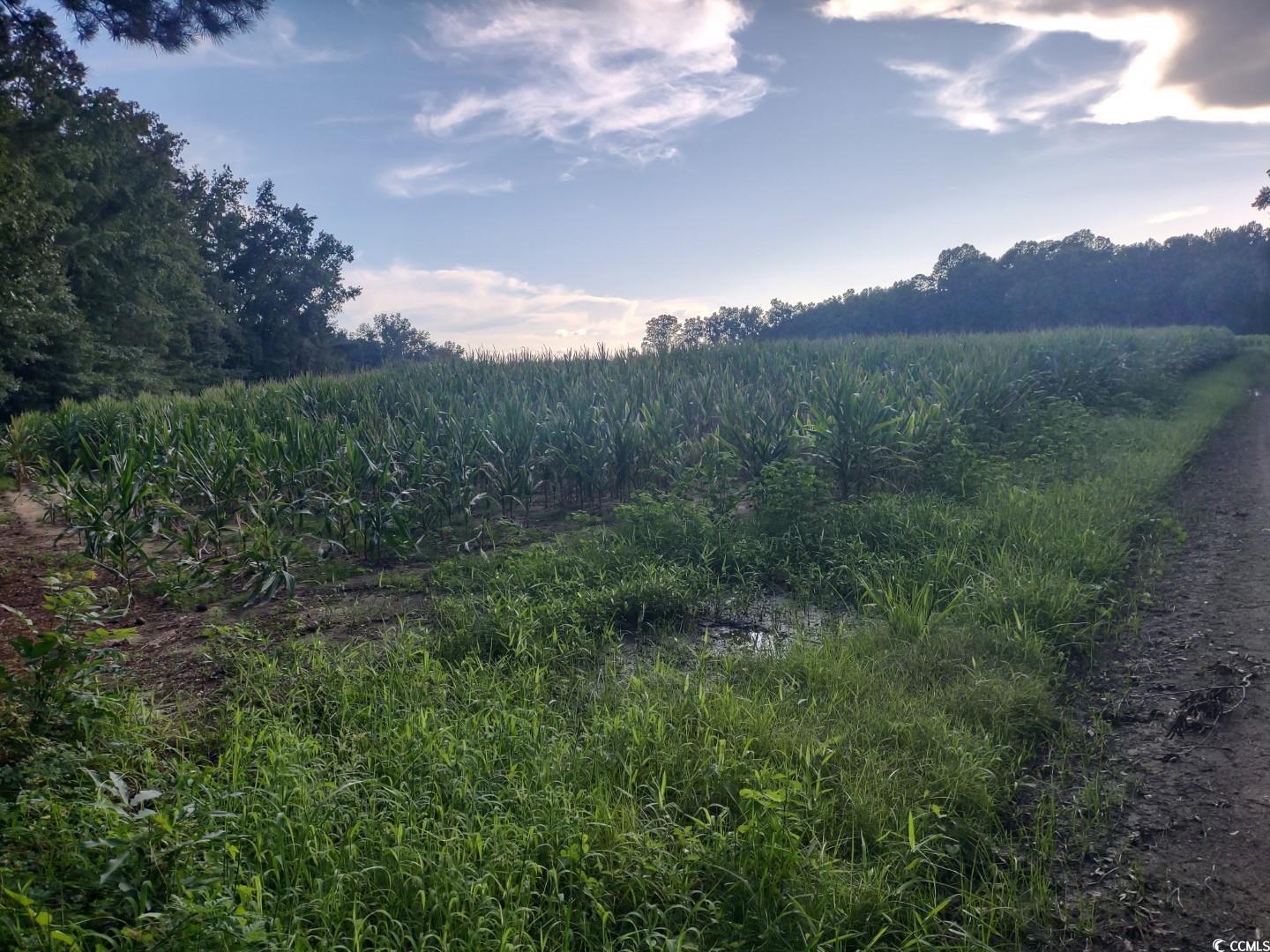 TBD Beaver Rd.