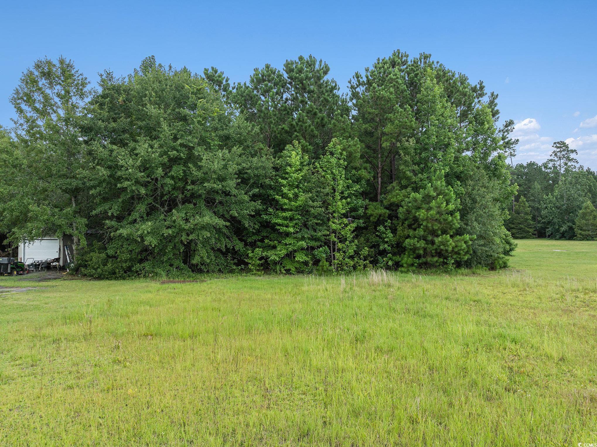 214 Cat Tail Bay Dr. Property Photo 5