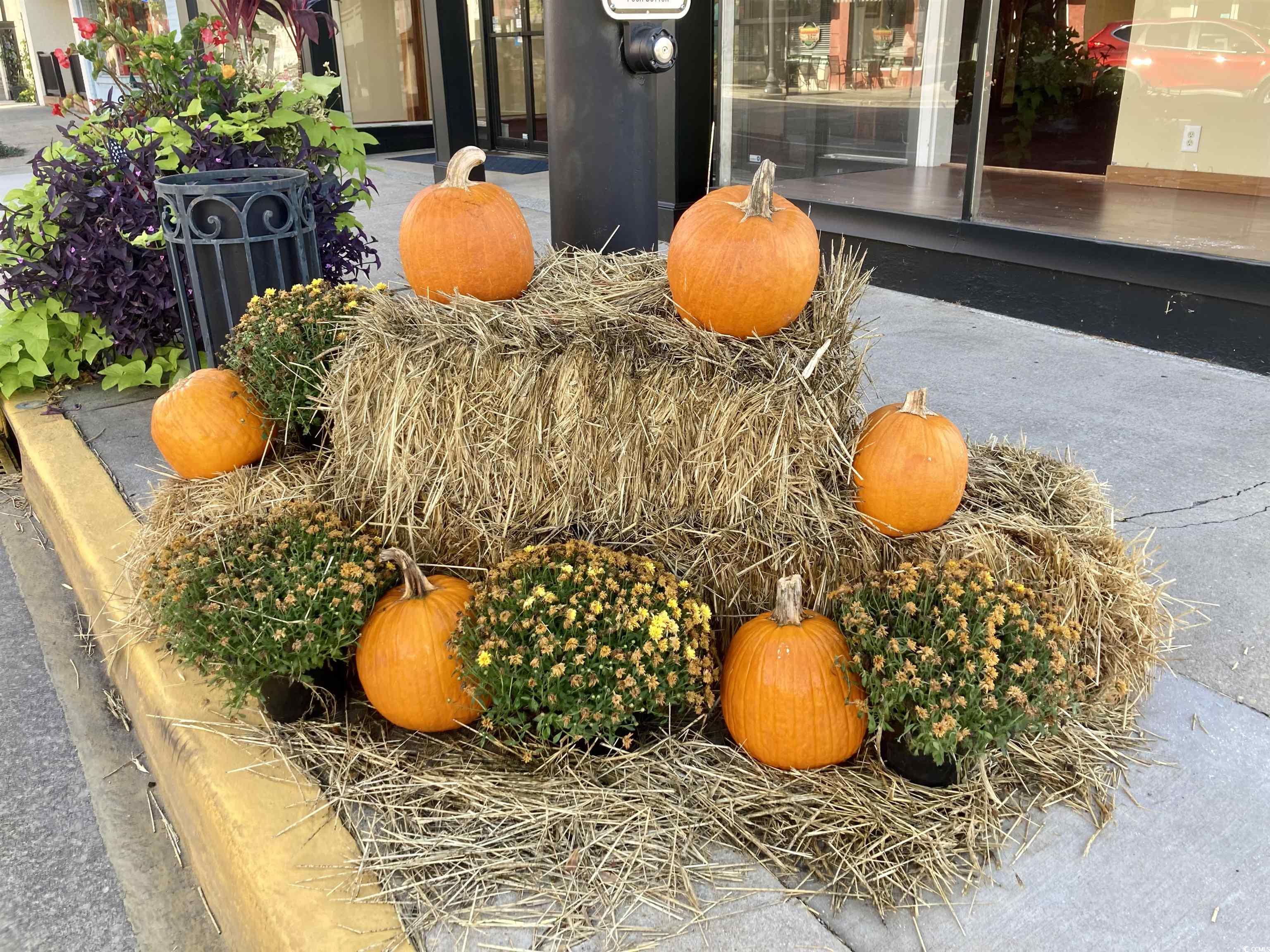 127 Westfield Circle Property Photo 37