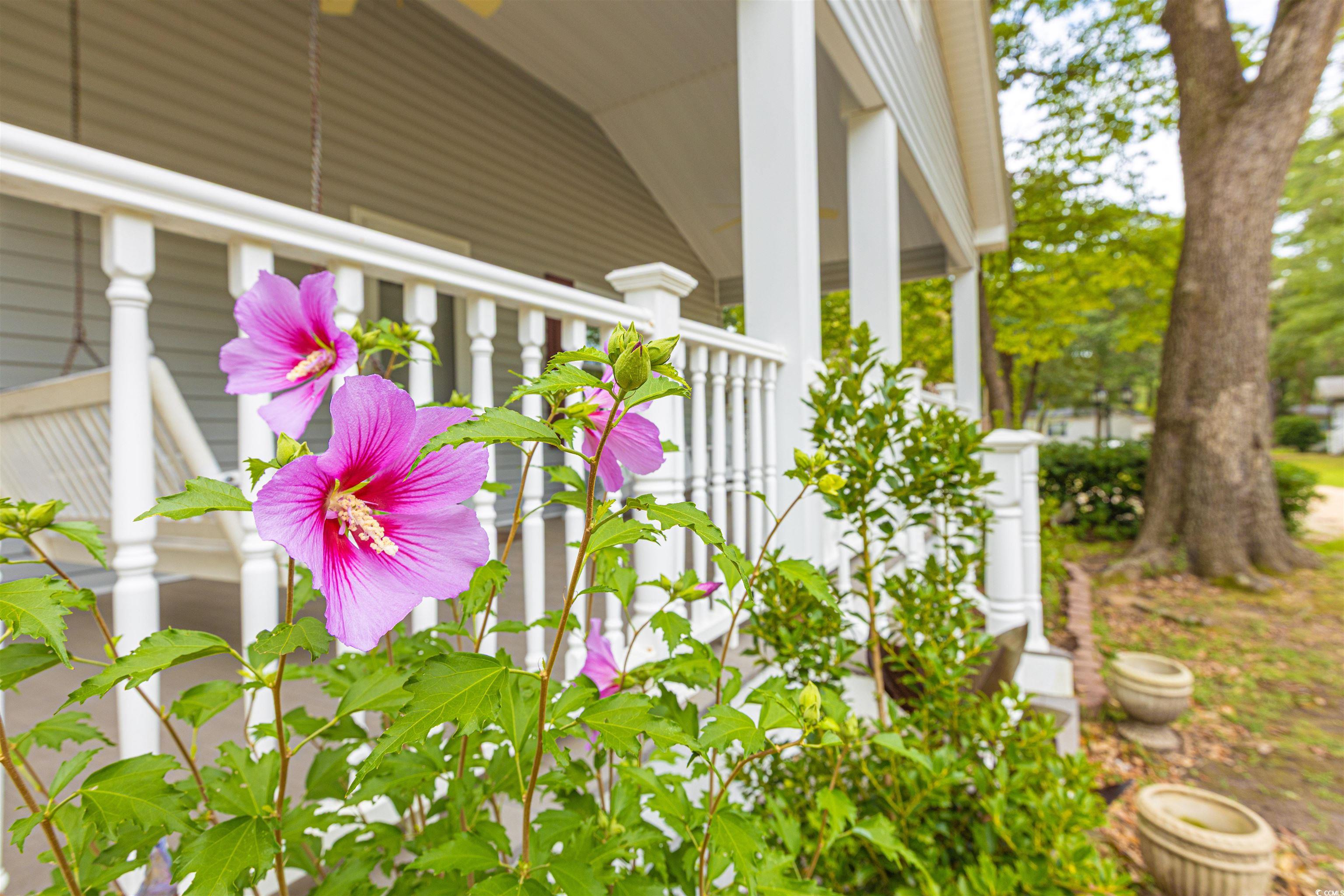 517 Porter Dr. Property Photo 3