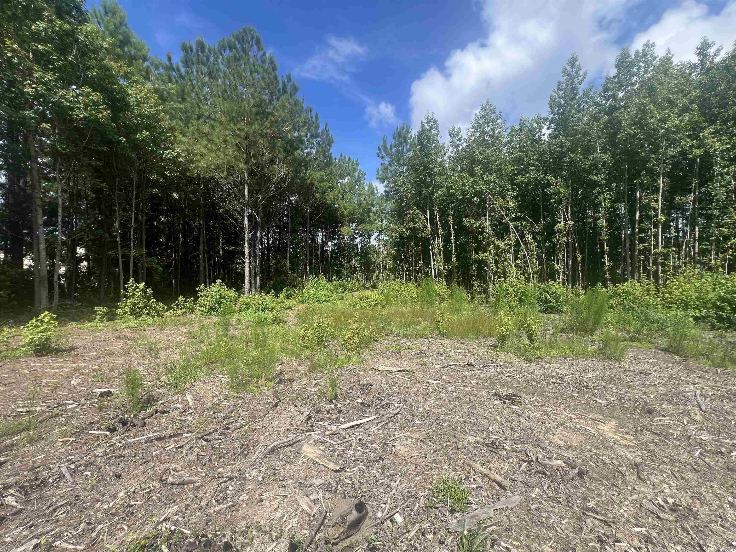 Tbd Lot 6b Red Bluff Rd. Property Photo 5