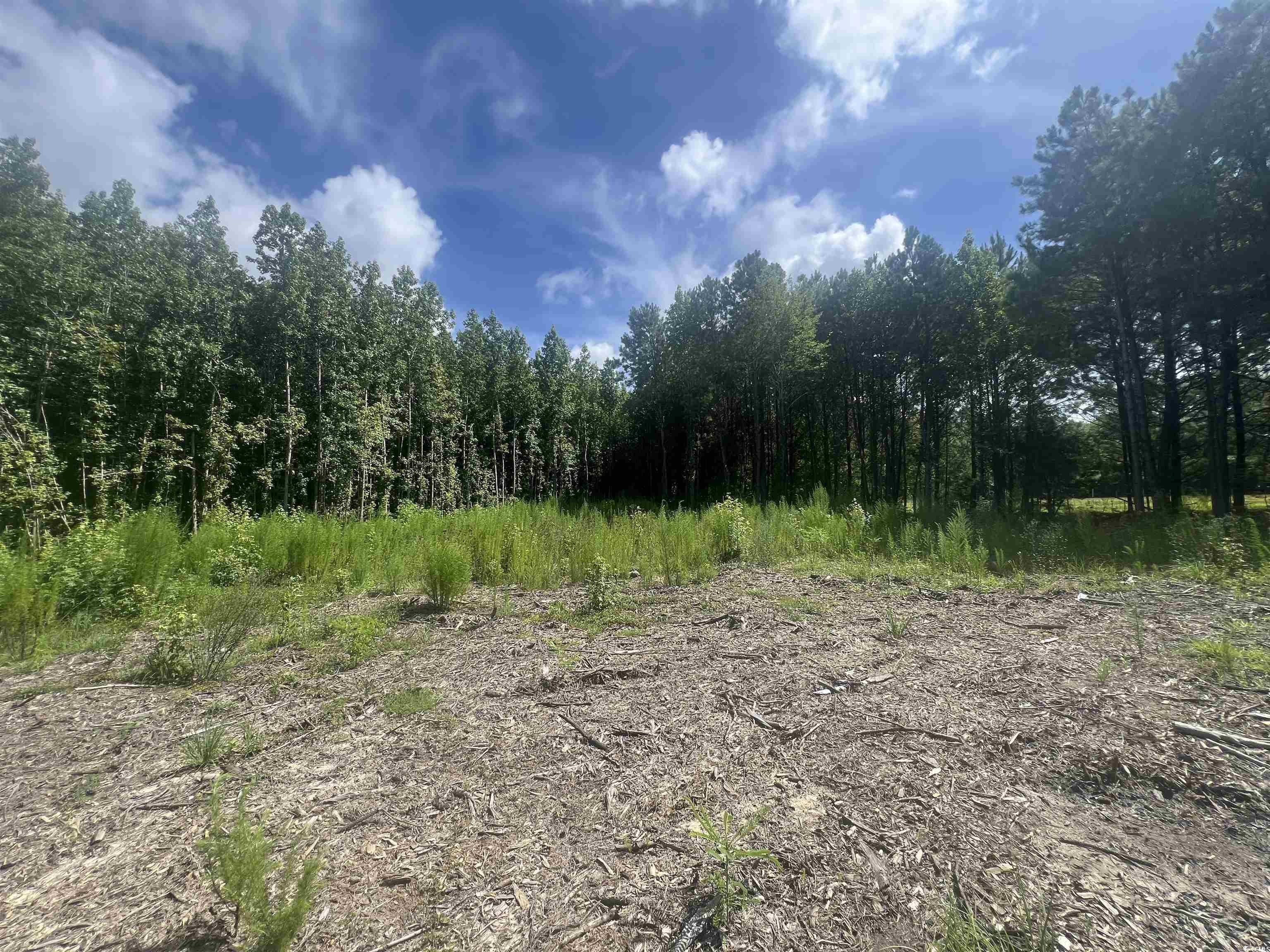 Tbd Lot 6b Red Bluff Rd. Property Photo 6