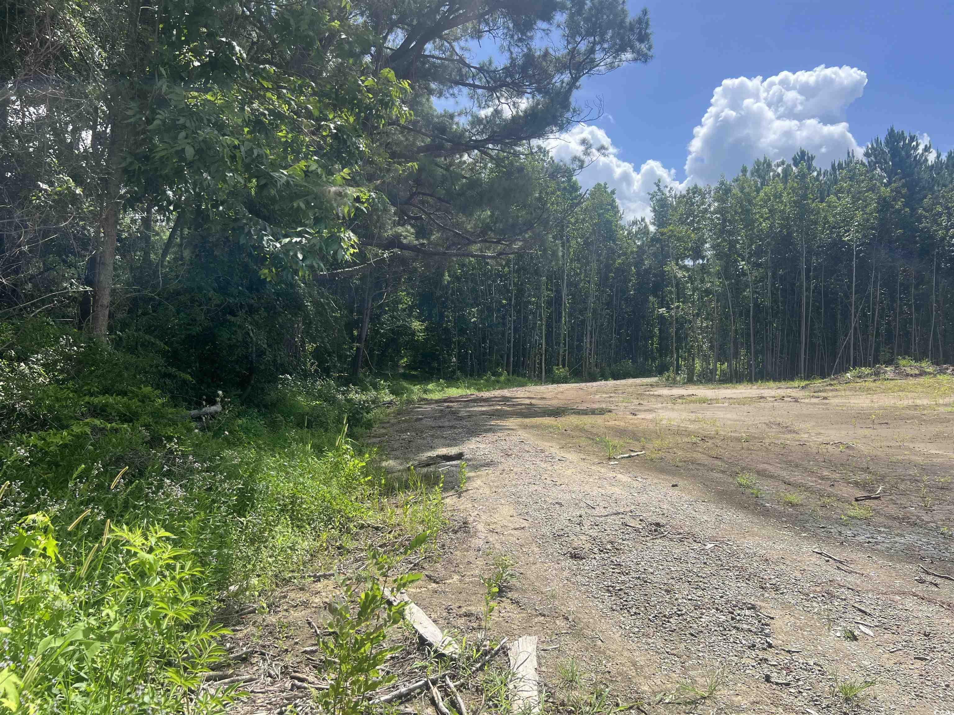 Tbd Lot 6b Red Bluff Rd. Property Photo 7