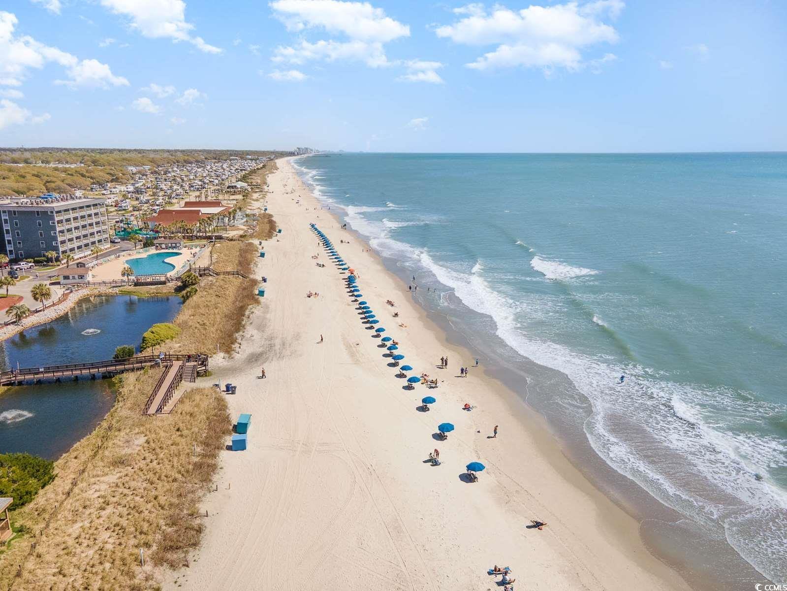 5905 South Kings Hwy. Property Photo 17