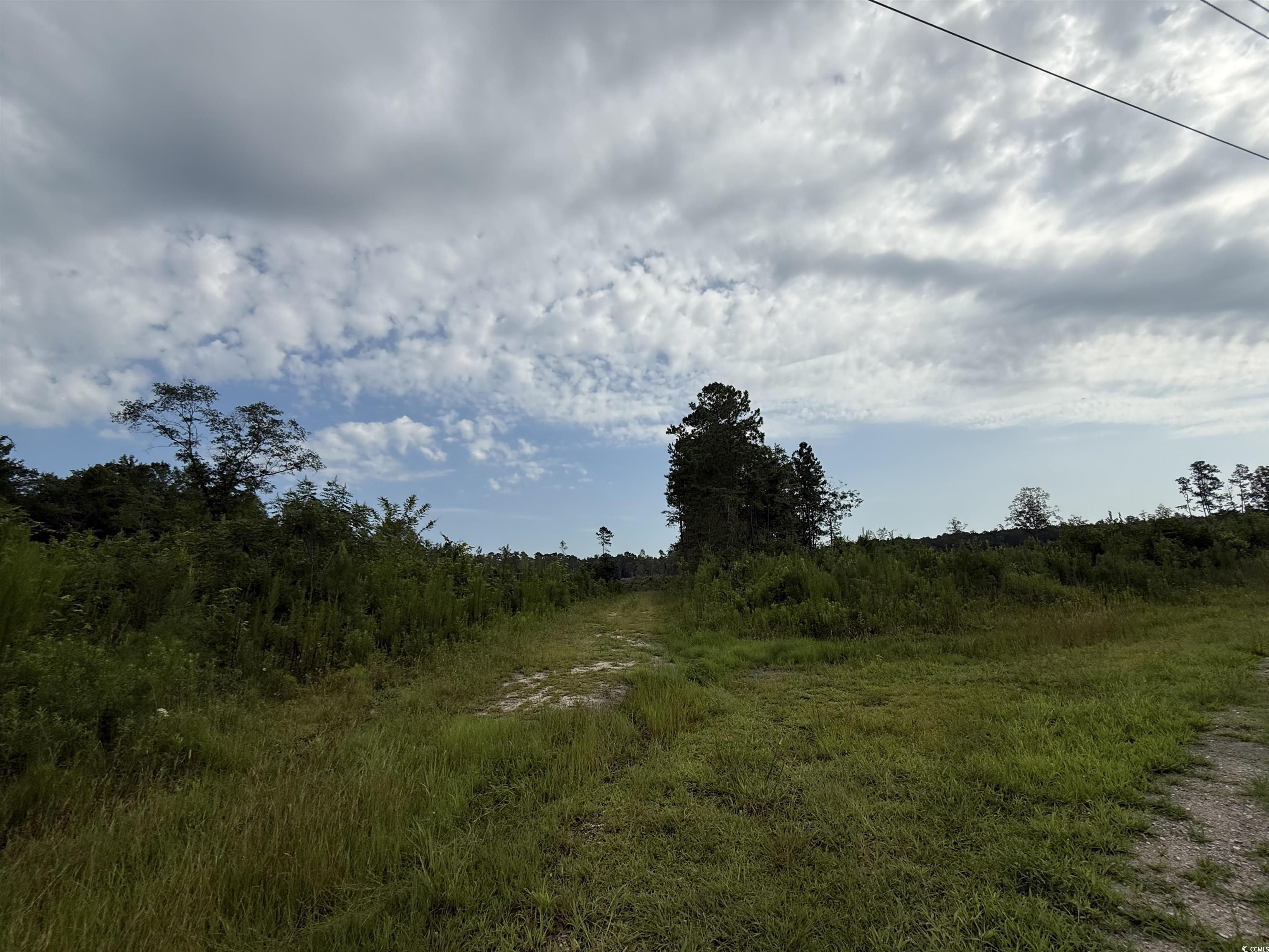 Tbd Dukes Rd. Property Photo 3