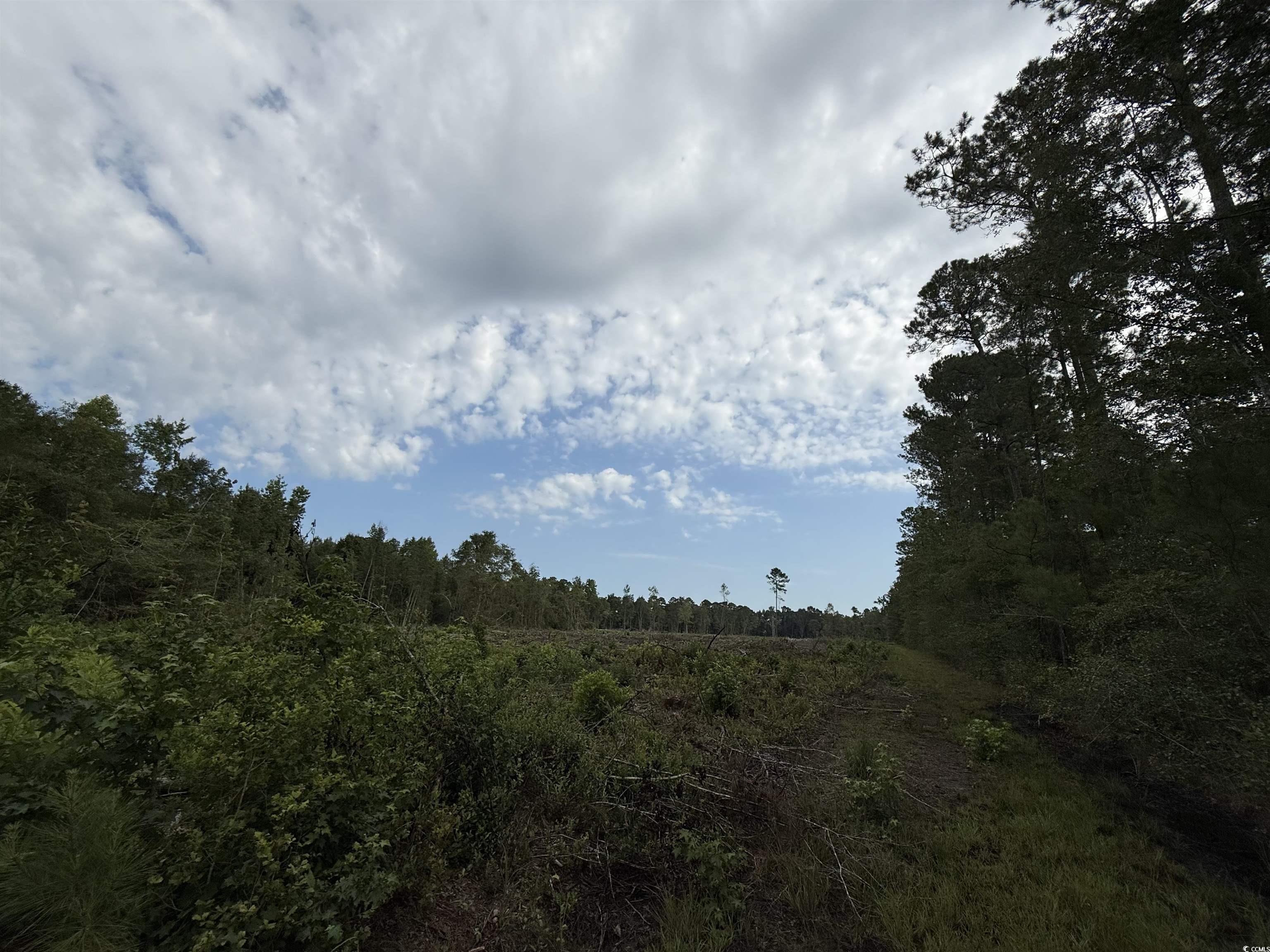 Tbd Dukes Rd. Property Photo 5