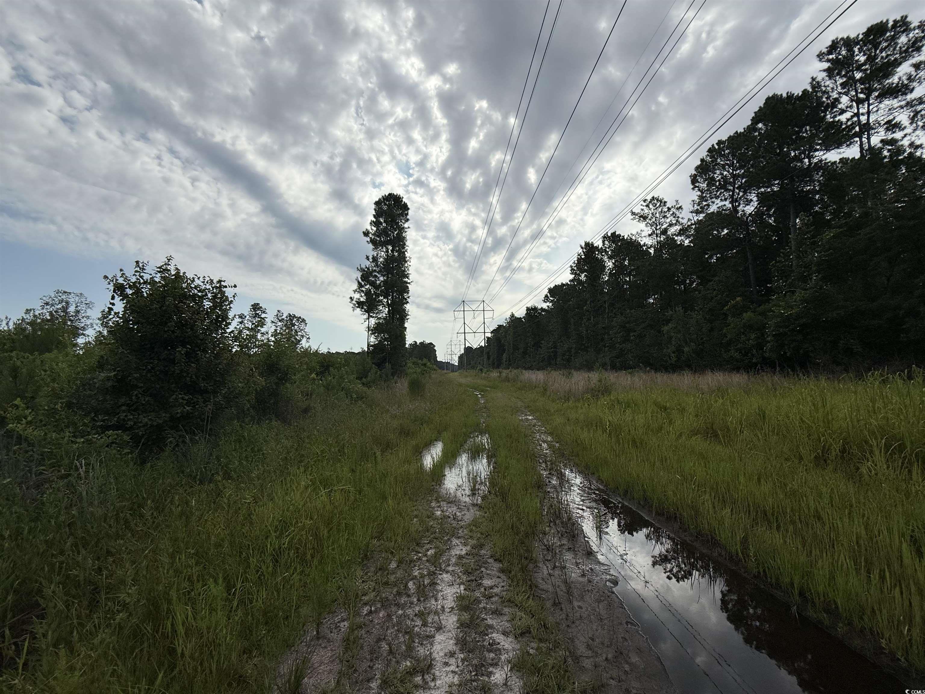 Tbd Dukes Rd. Property Photo 6