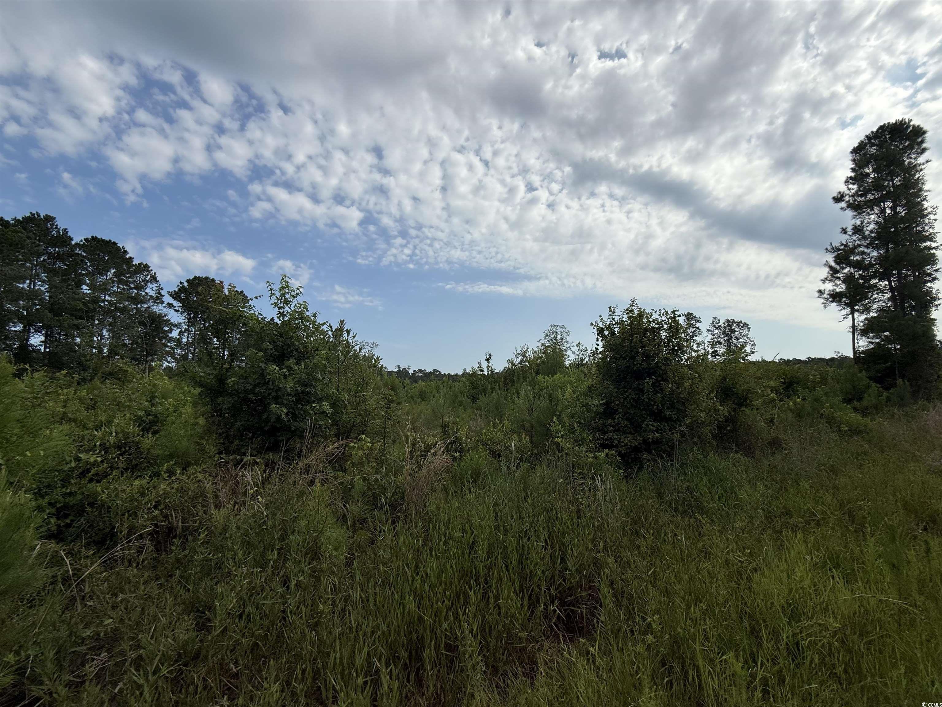 Tbd Dukes Rd. Property Photo 7