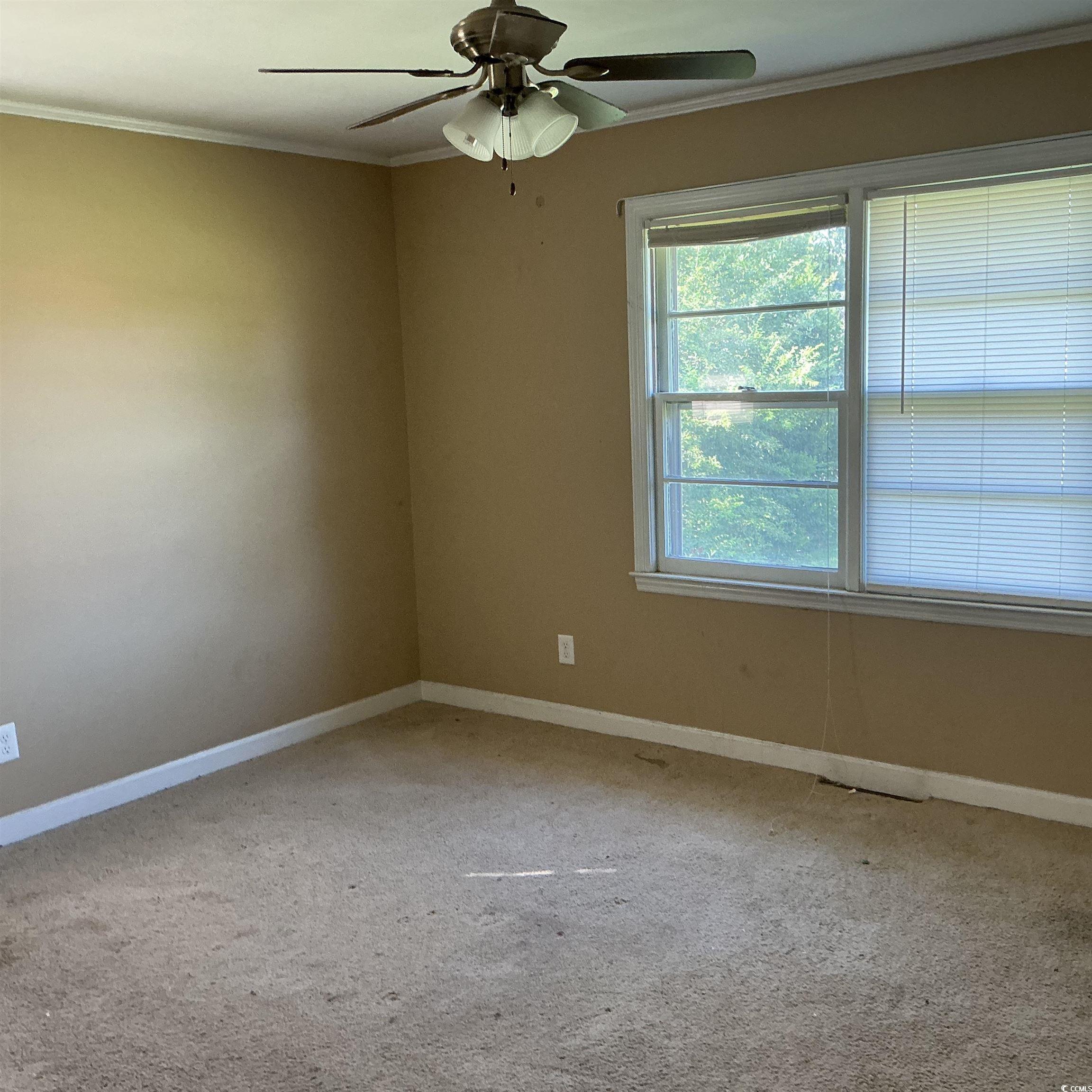 807 E Wilson St. Property Photo 10