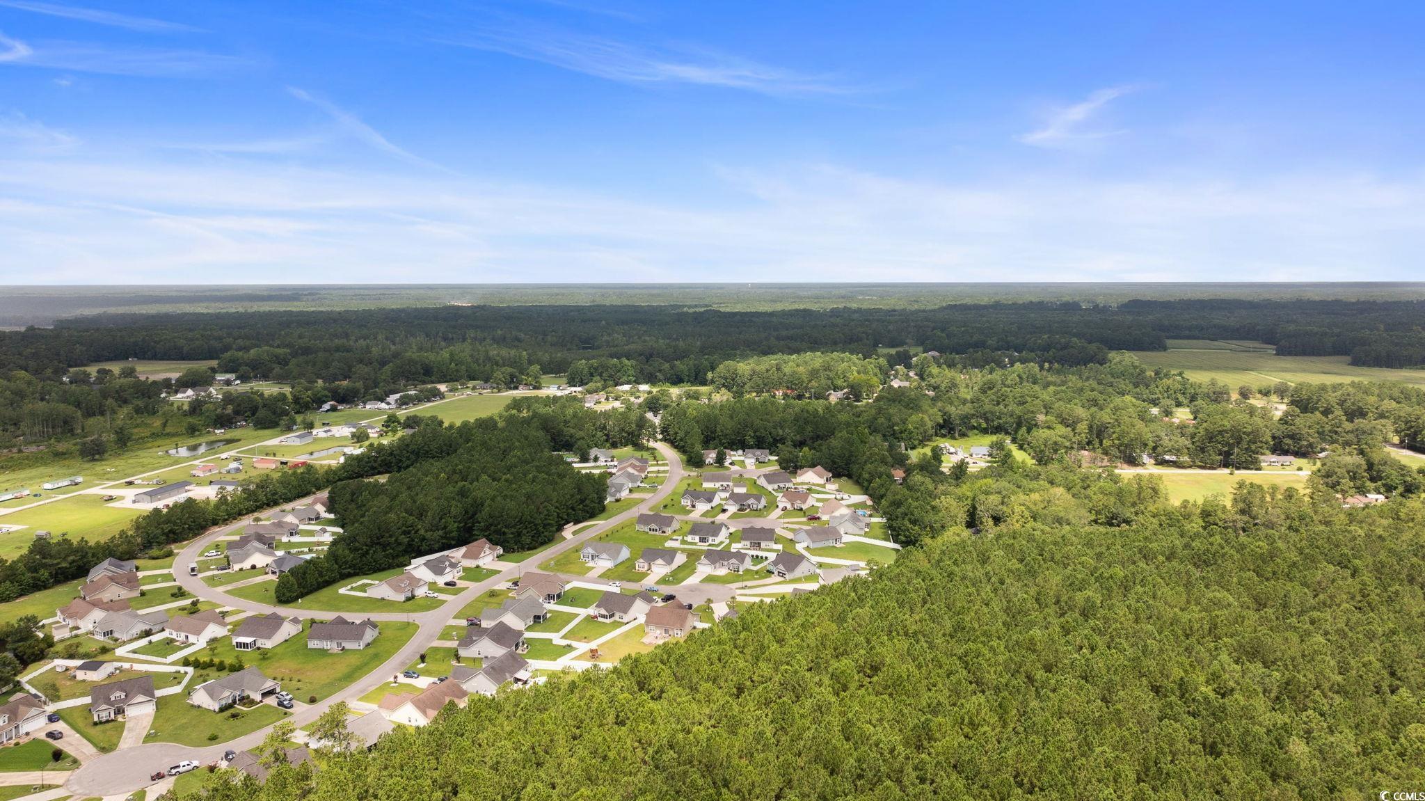 709 Bull Farm Ct. Property Photo 35