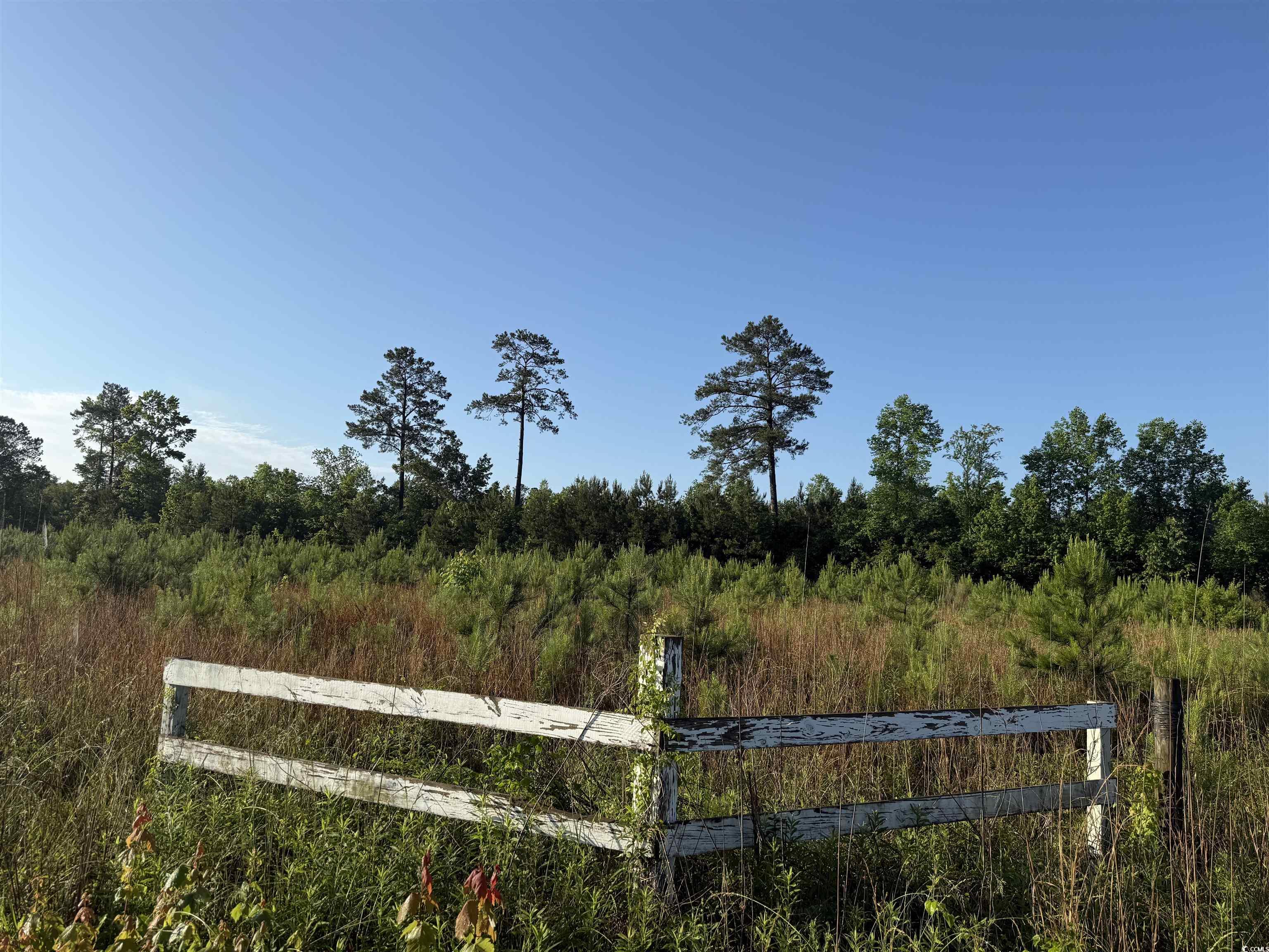 5 Acres Lot 2 Old Pee Dee Rd.