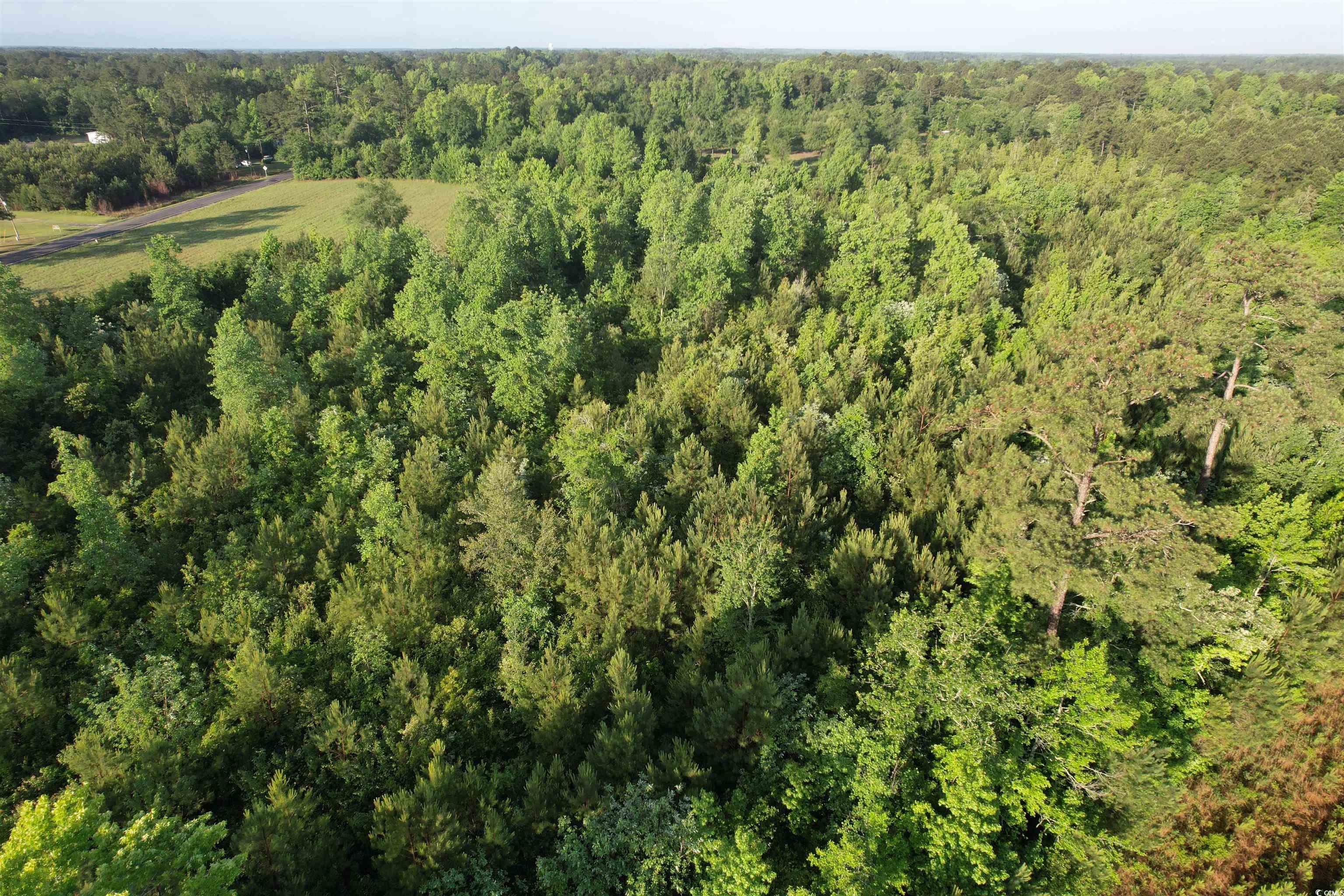 5 Acres Lot 2 Old Pee Dee Rd. Property Photo 4