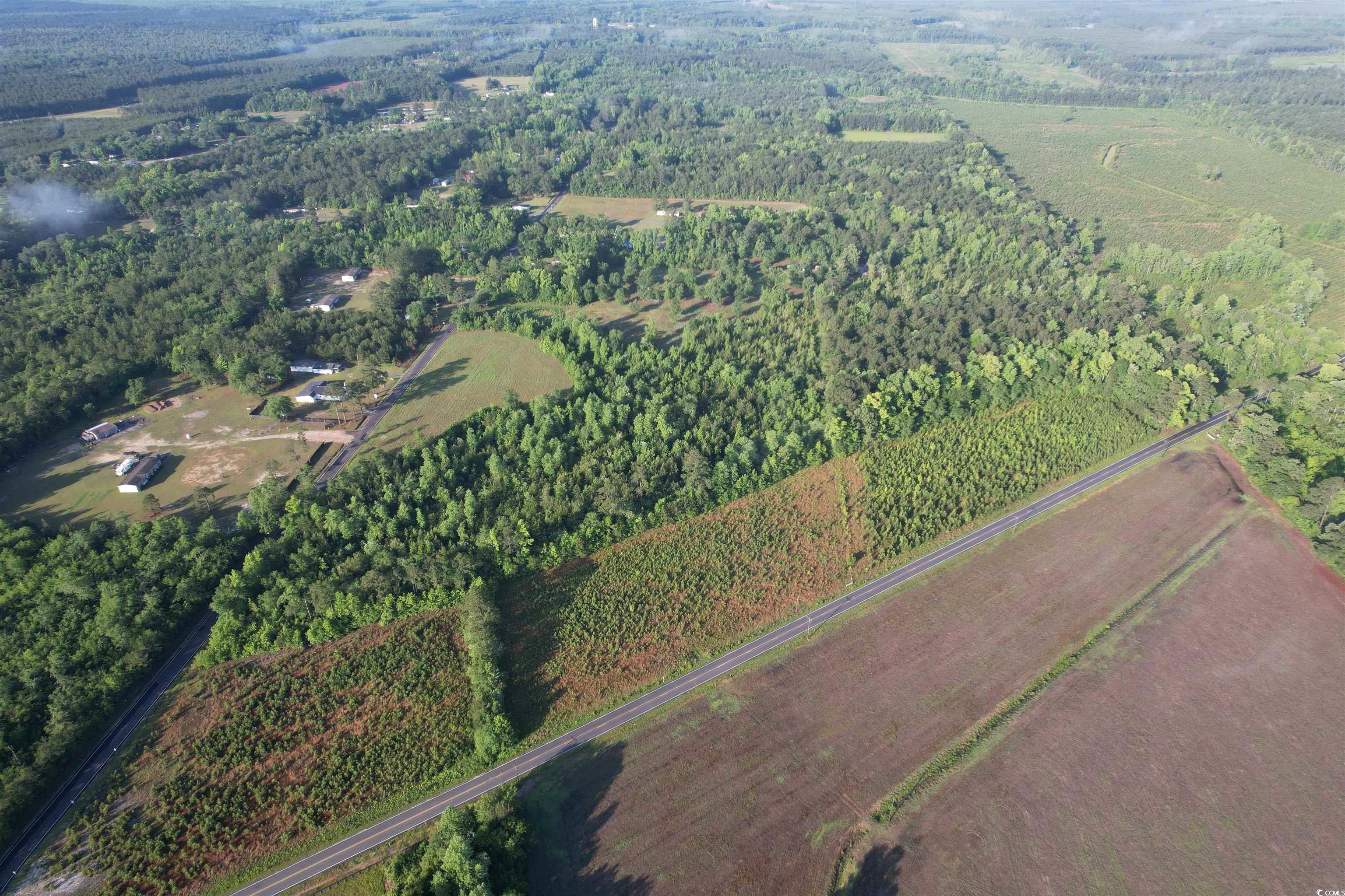 5 Acres Lot 2 Old Pee Dee Rd. Property Photo 5